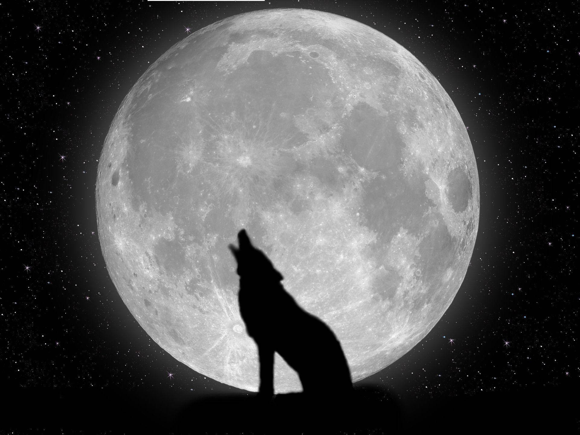 Cool Wolf And Moon Background