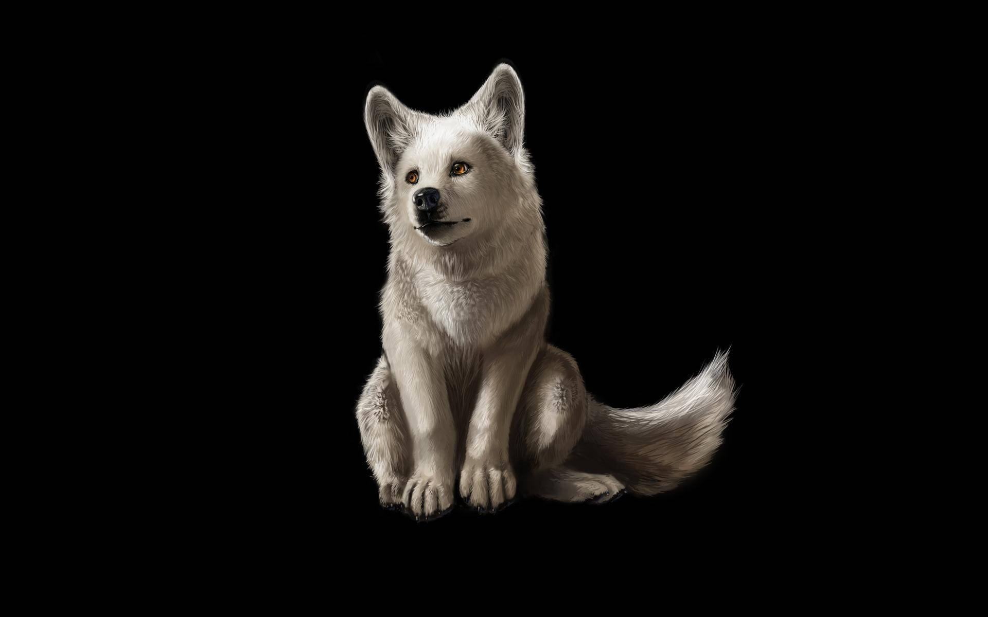 Cool Wolf Black Background Background