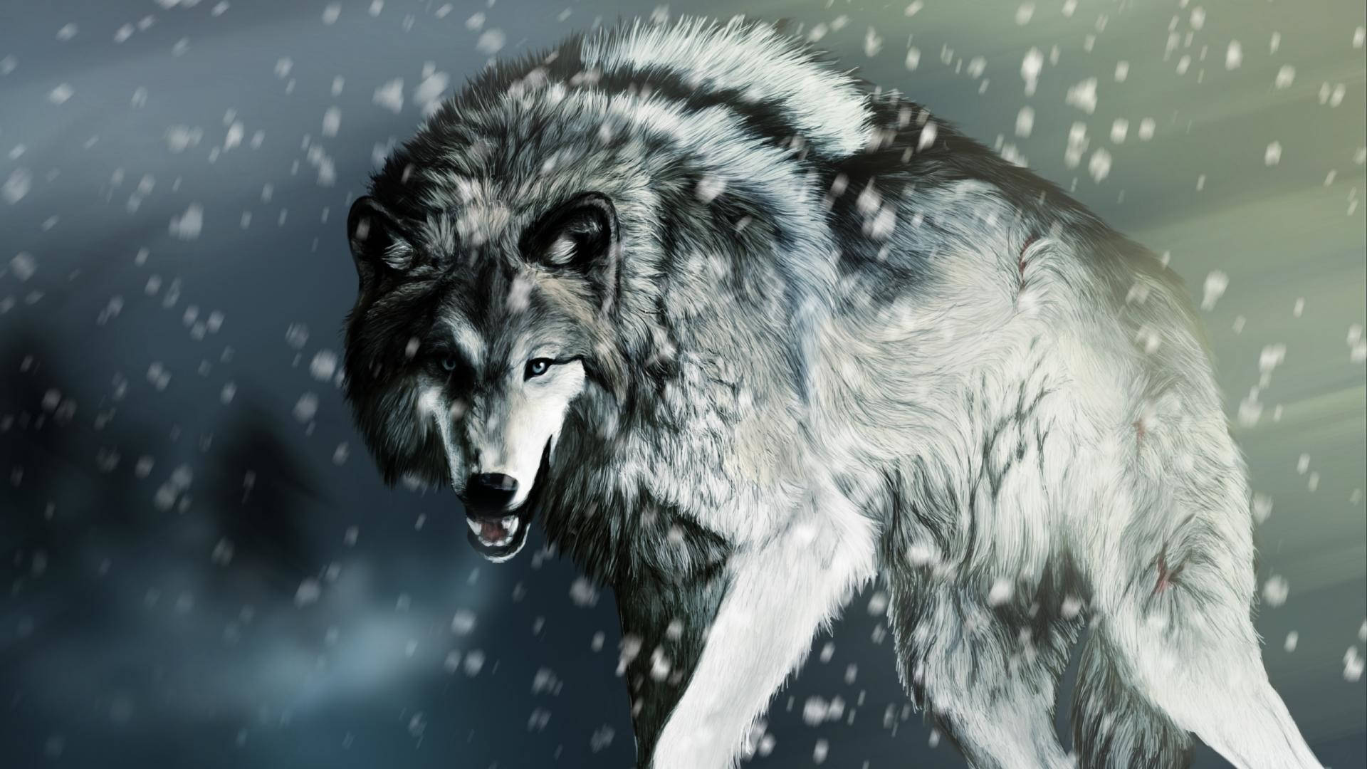 Cool Wolf In Snow Background
