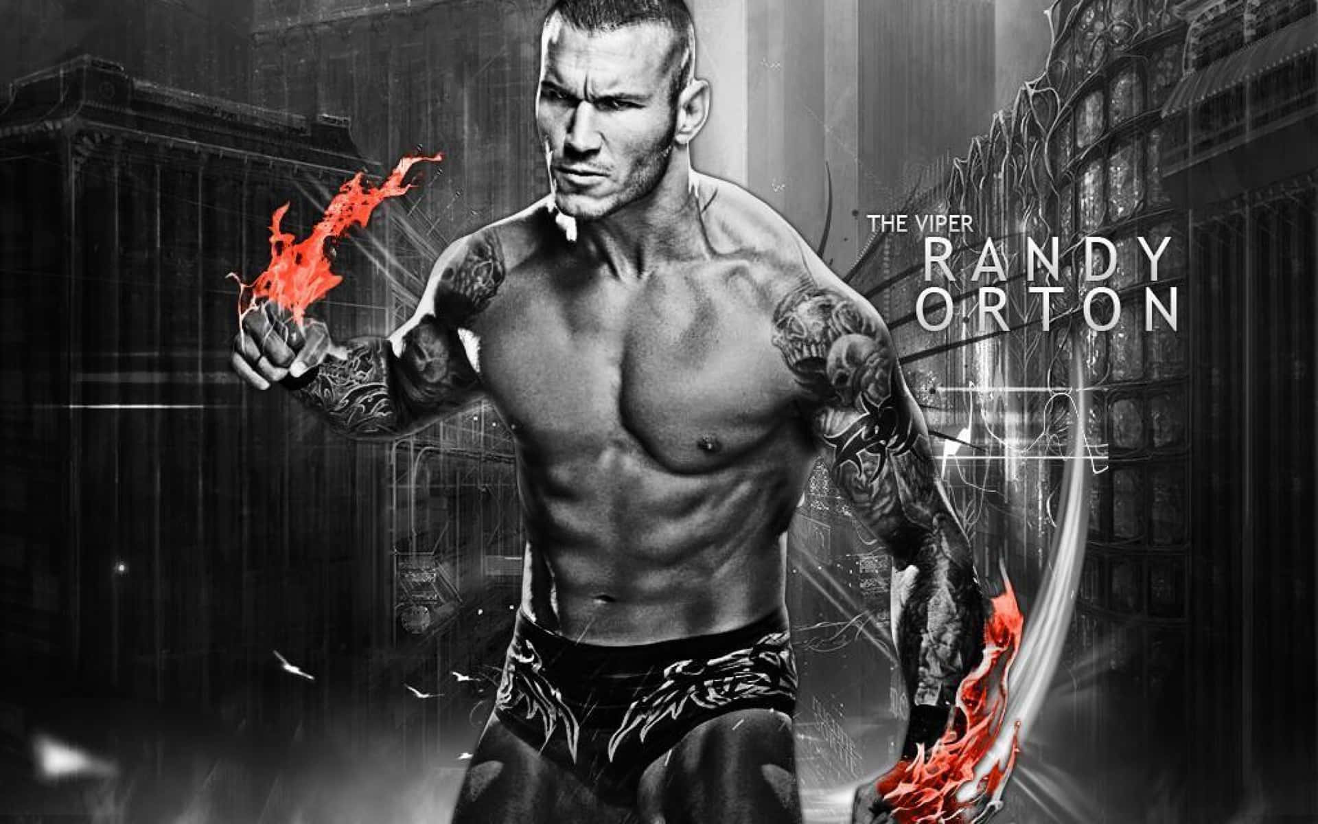 Cool Wwe Wrestlers Ready For Action Background