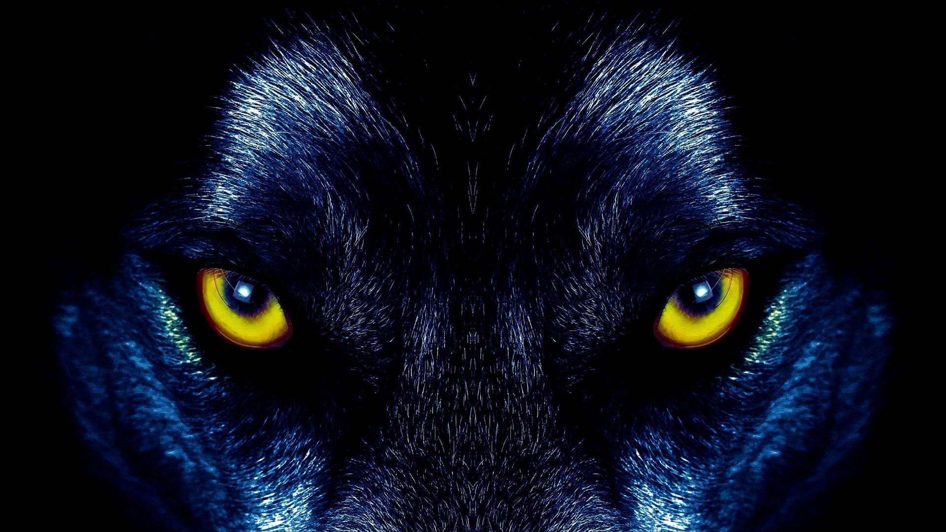 Cool Yellow-eyed Black Wolf Background