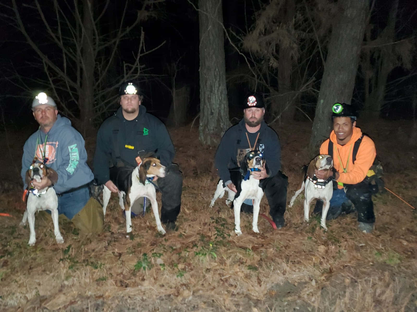 Coon Hunters With Dogs Nighttime Background
