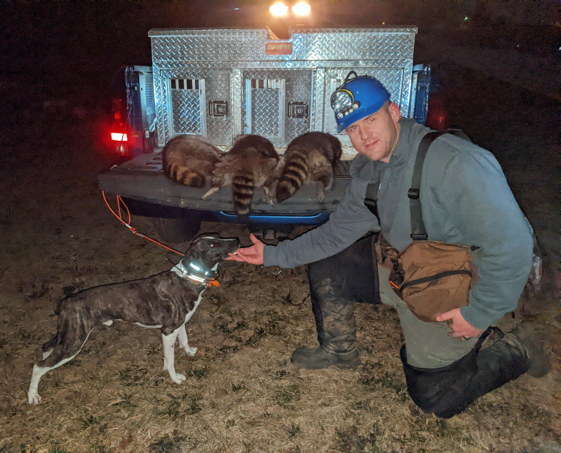 Coon Hunting Success Nighttime