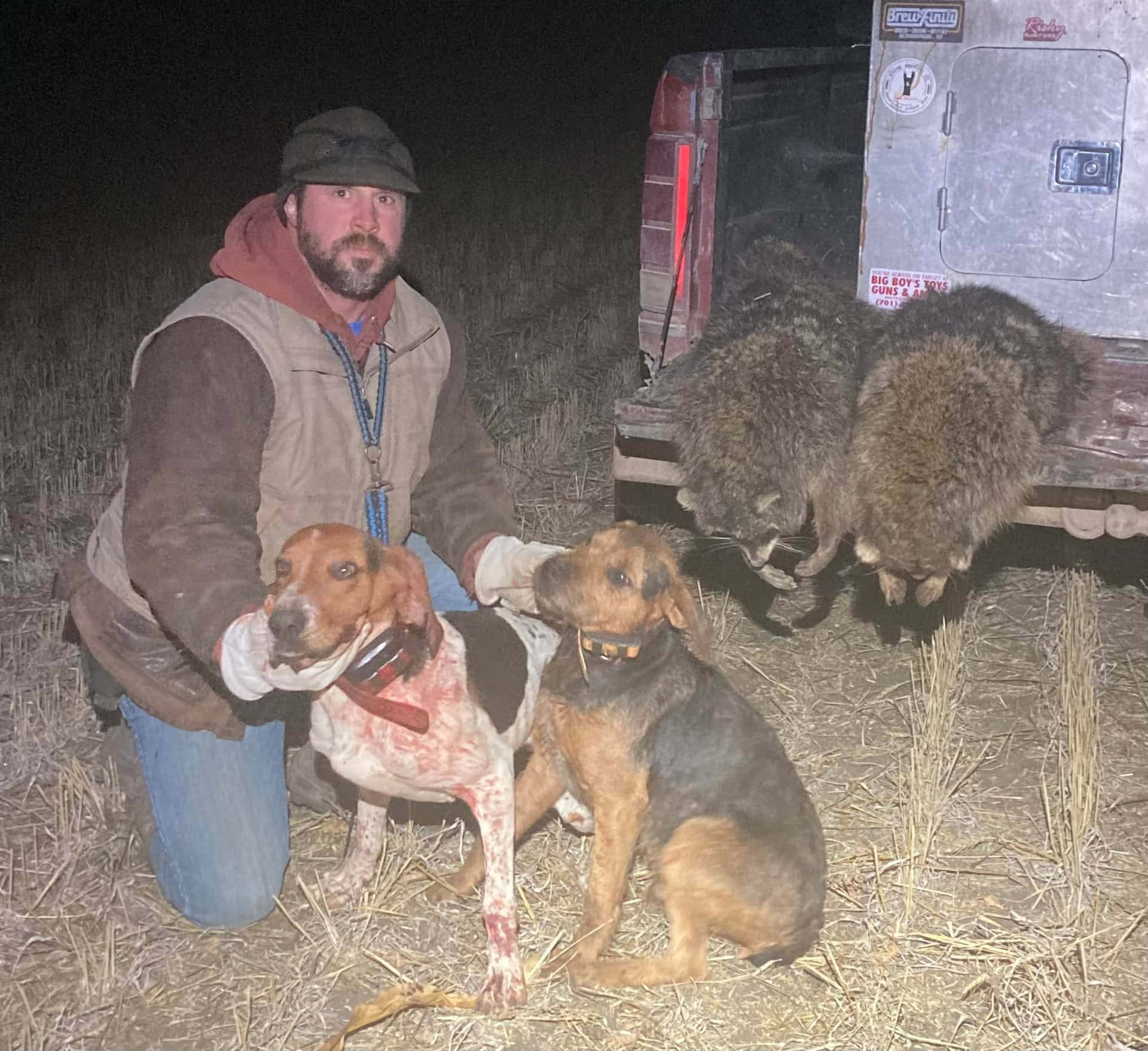 Coon Hunting Successful Night Background