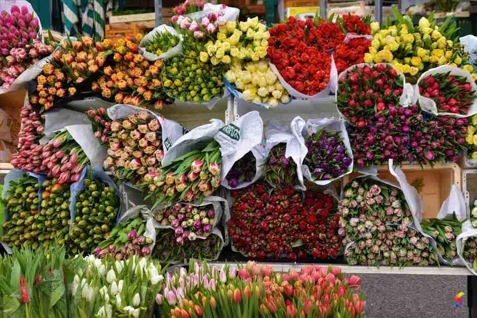 Copious Bundles Of Flowers Background