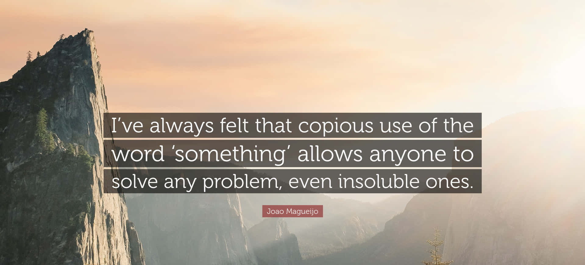 Copious Use Of Something Quote Background