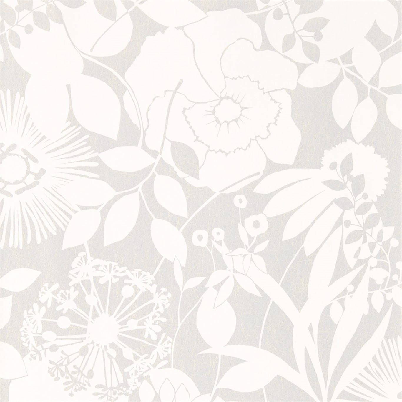 Coquette White Flowers Background
