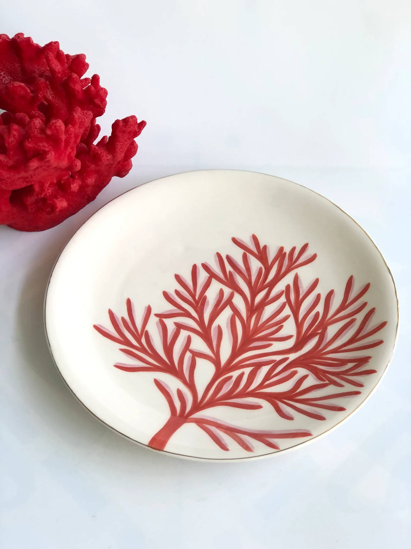 Coral Plate