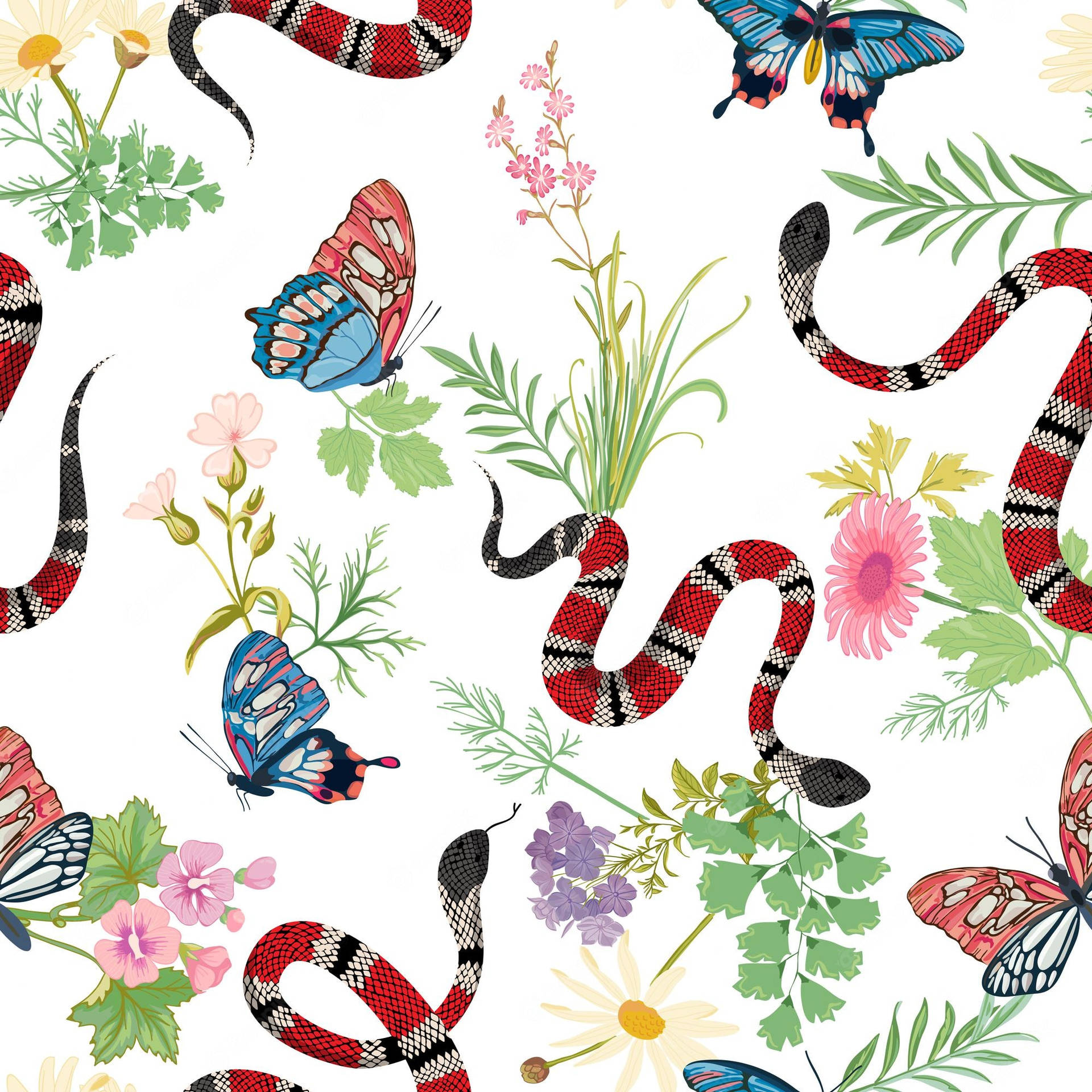 Coral Snake Tropical Butterflies Digital Art Background