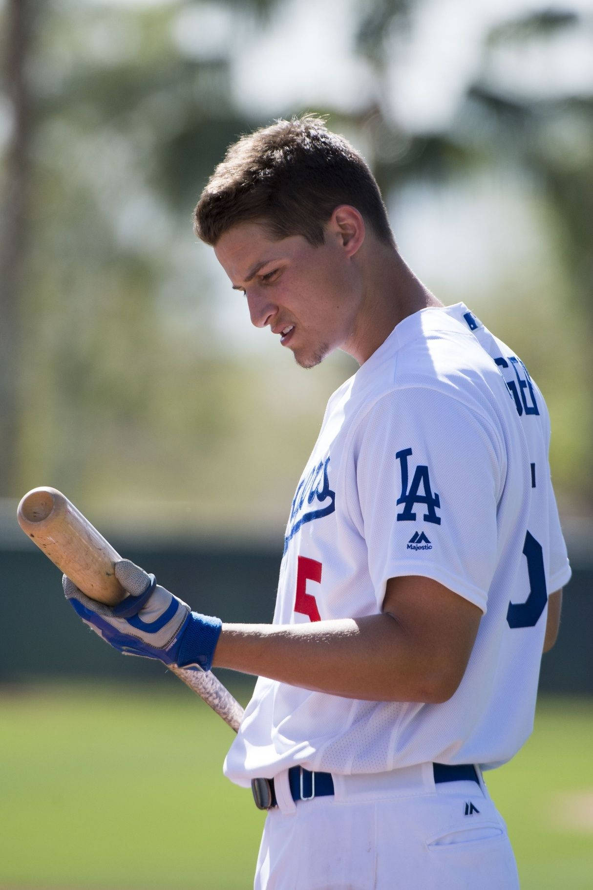 Corey Seager Looking Down On Baseball Bat Background