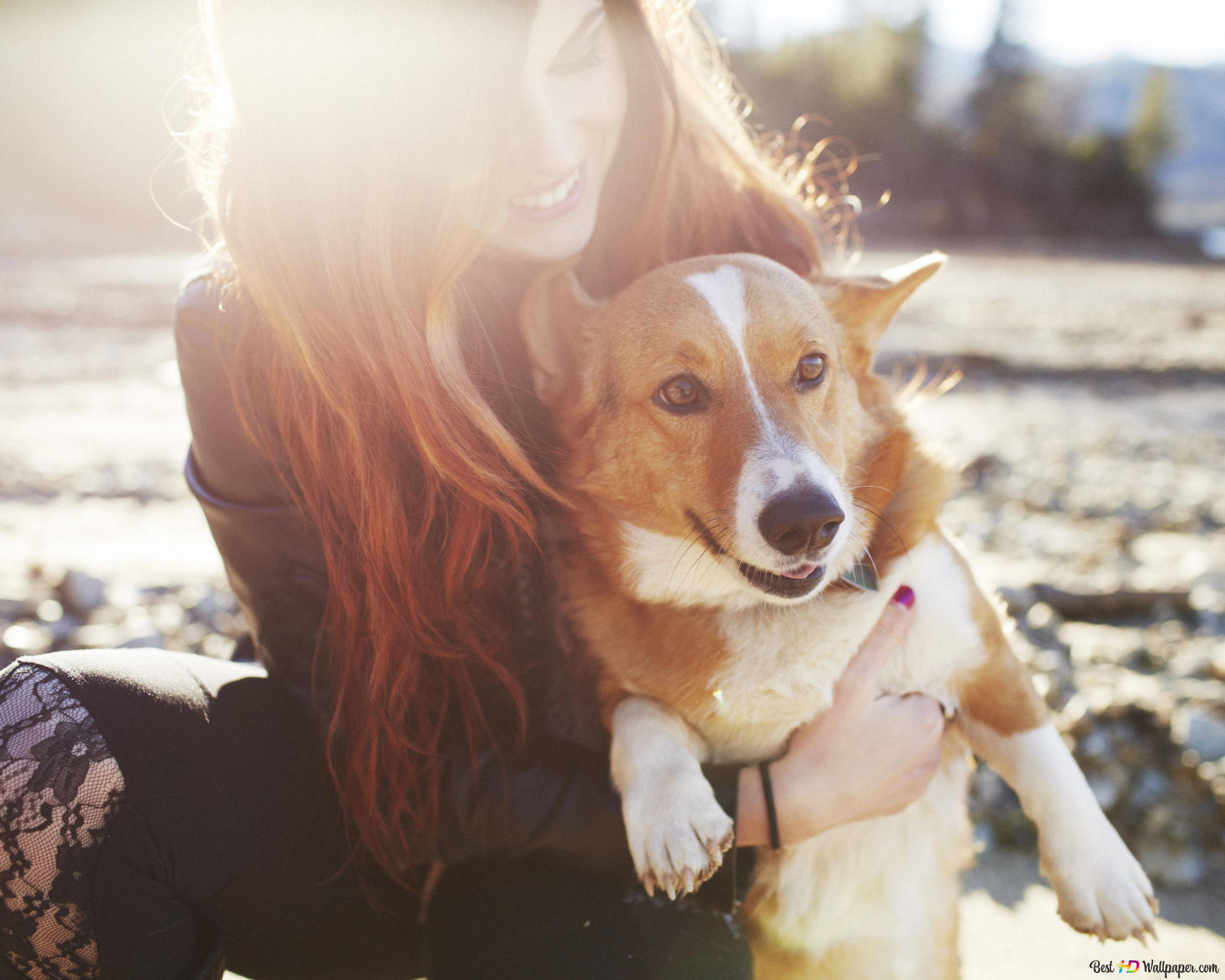 Corgi Dog And Girl Together Background