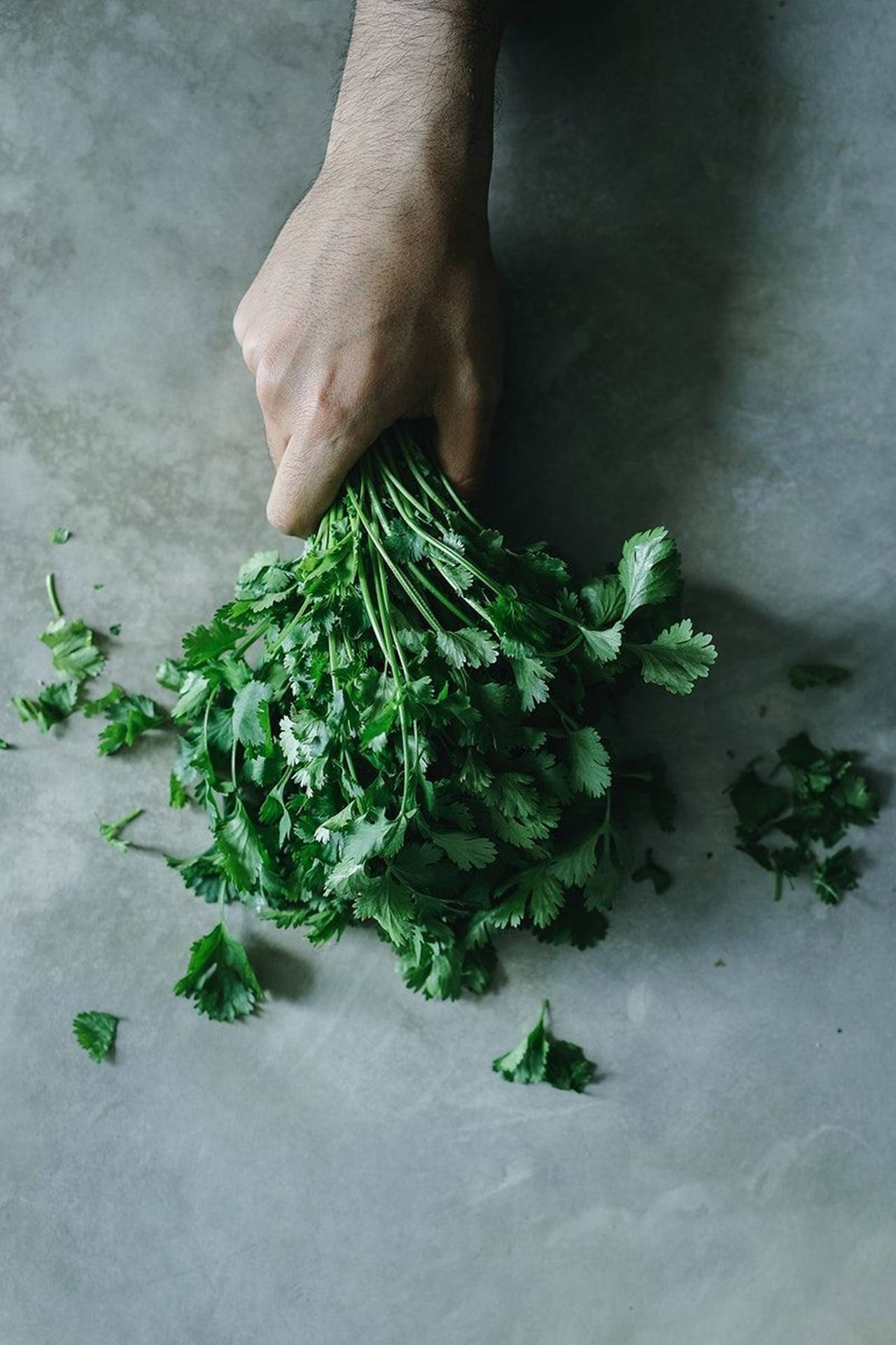 Coriander Vegetable Herbs Overhead Shot Background