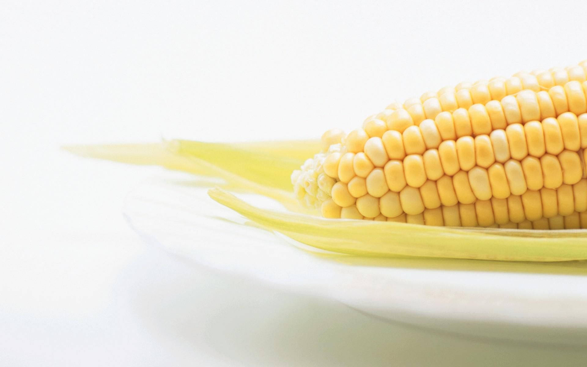 Corn On Transparent Plate Background