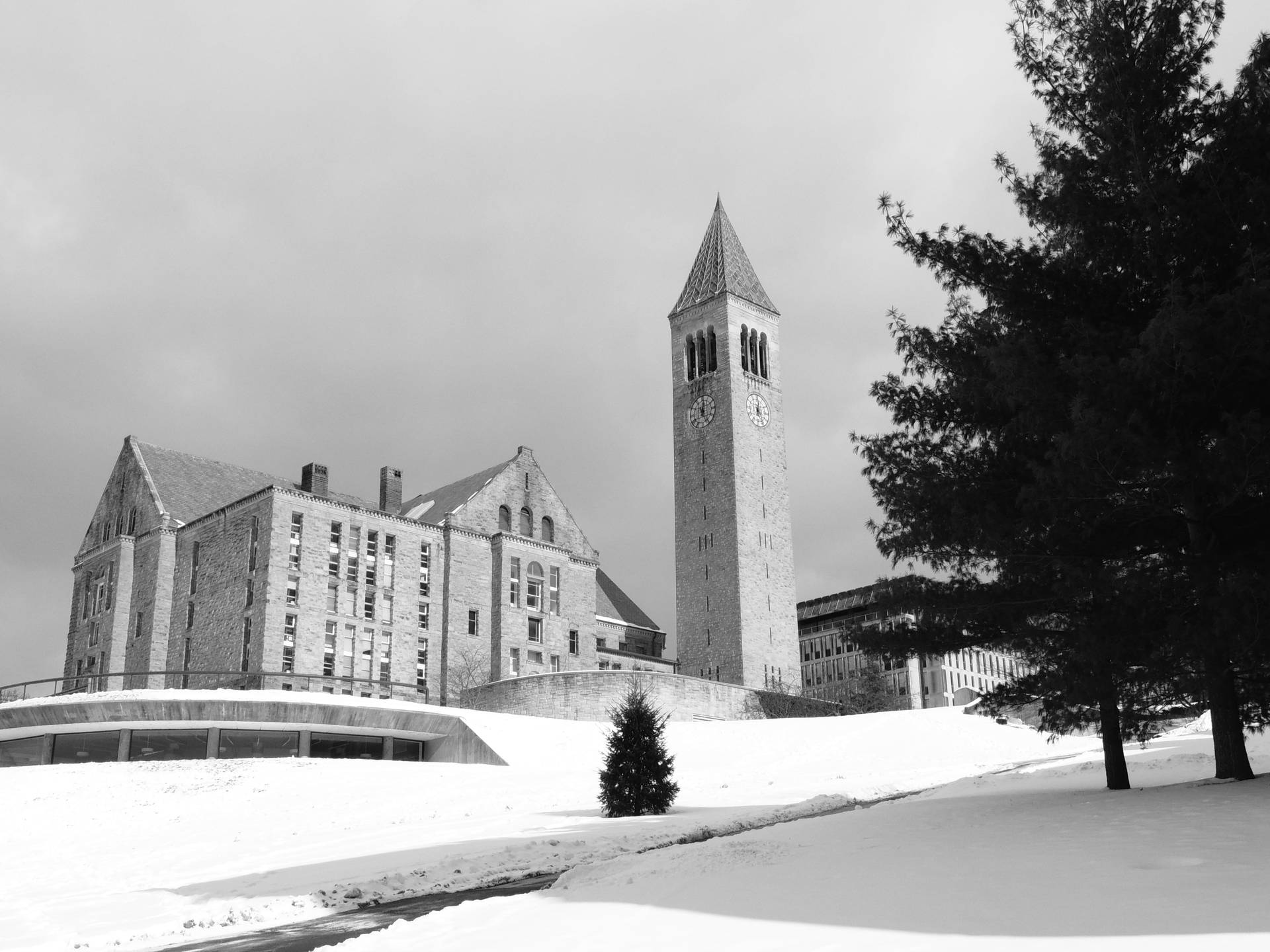 Cornell University Black And White Background