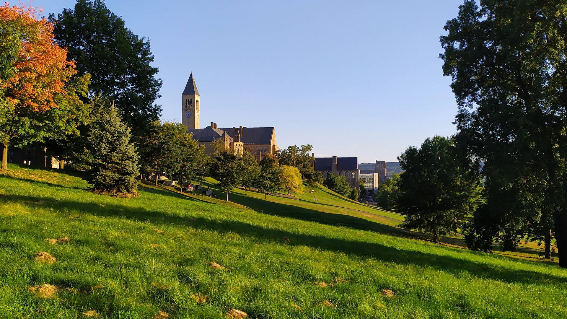 Cornell University Grounds Background