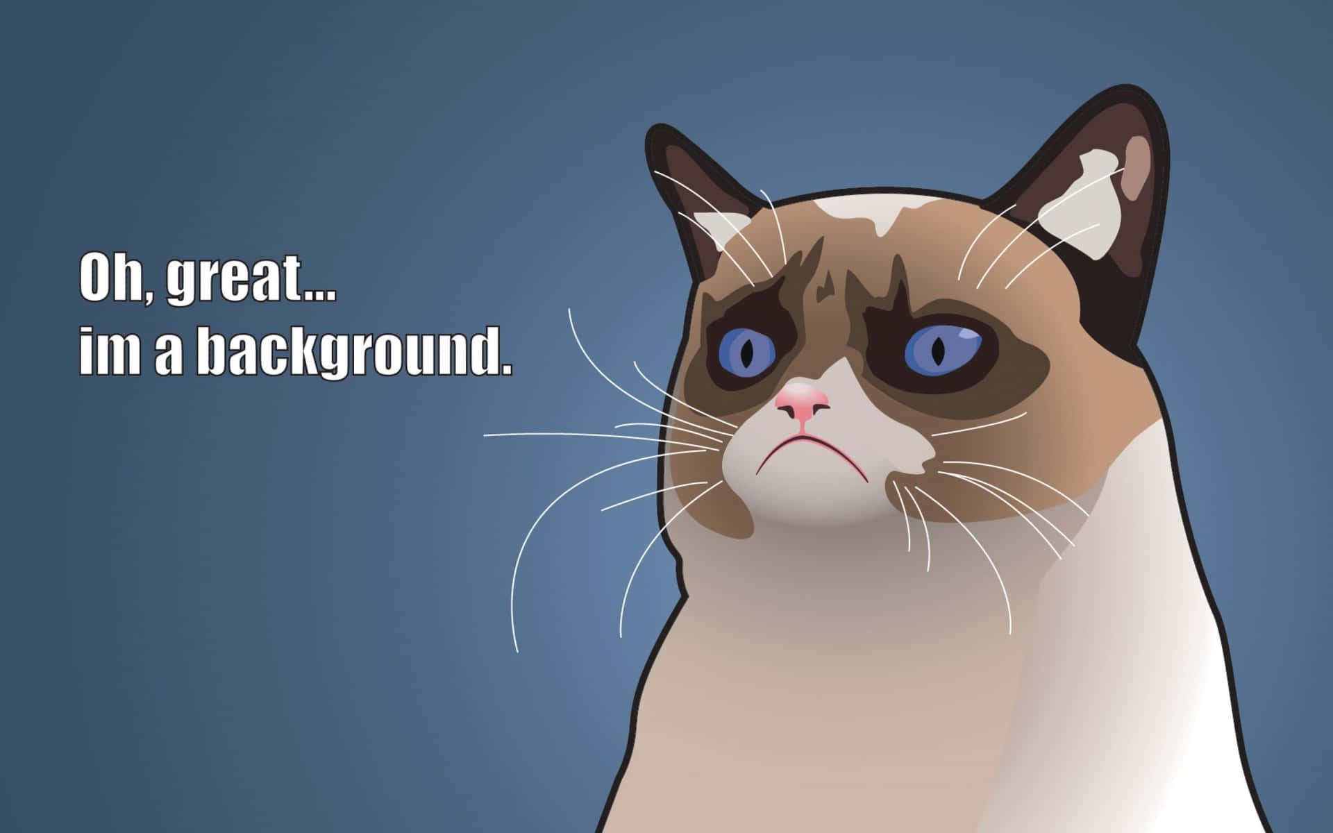 Corny Angry Cat [wallpaper] Background