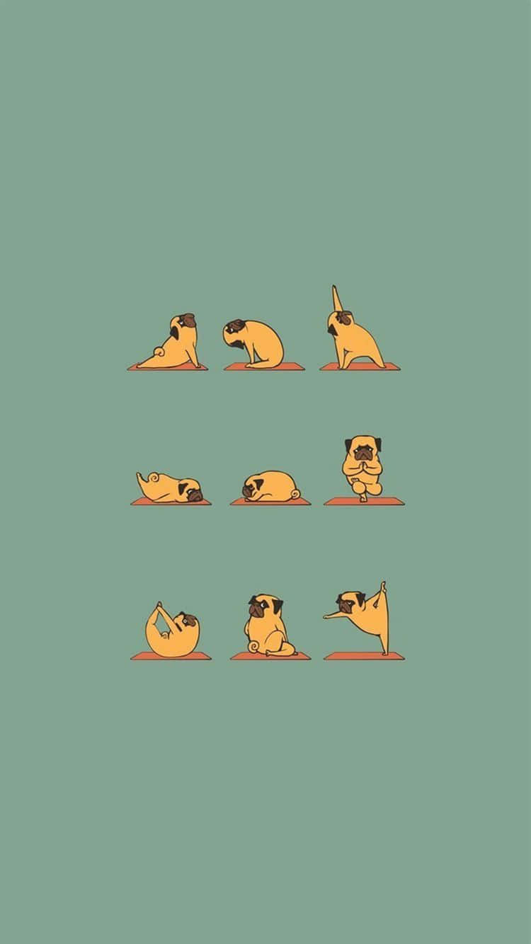 Corny Dog Doing Yoga [wallpaper] Background