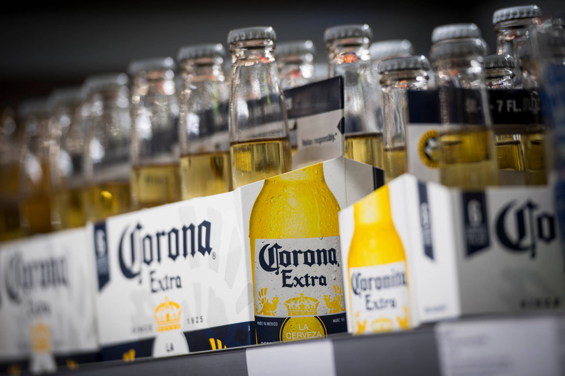 Corona Beer Cases