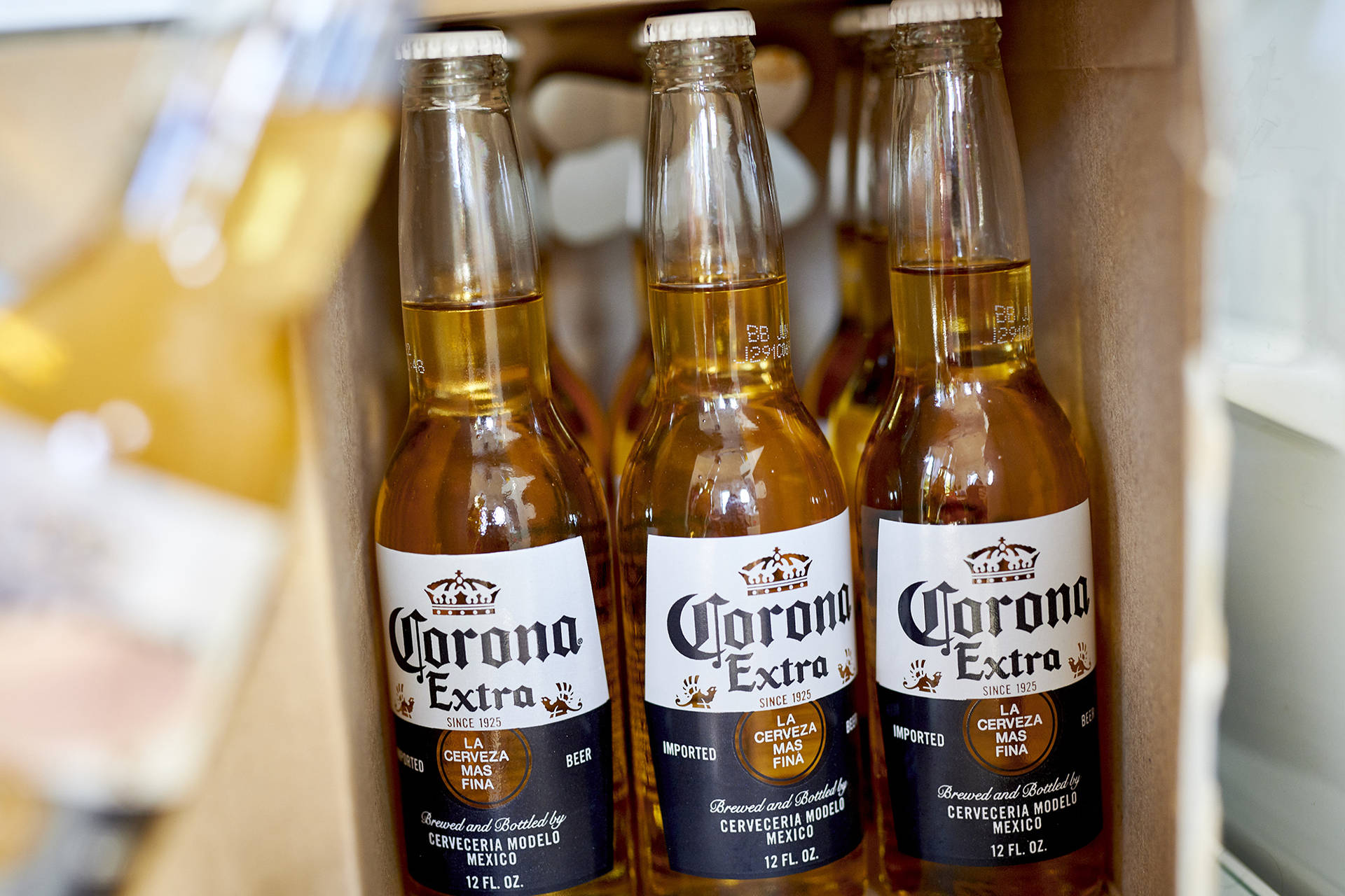 Corona Extra Beer Box View Background