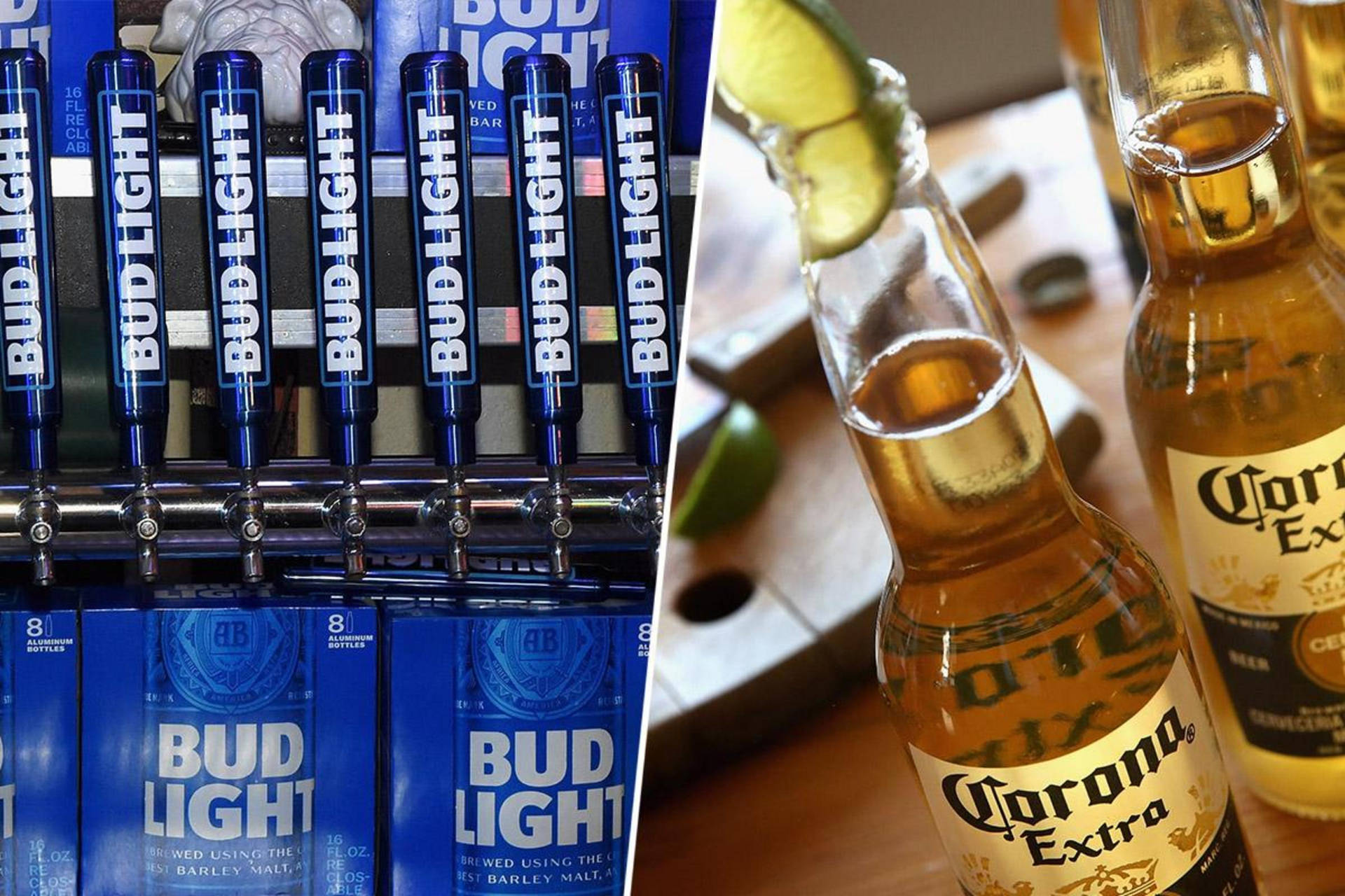 Corona Extra Budlight Beer