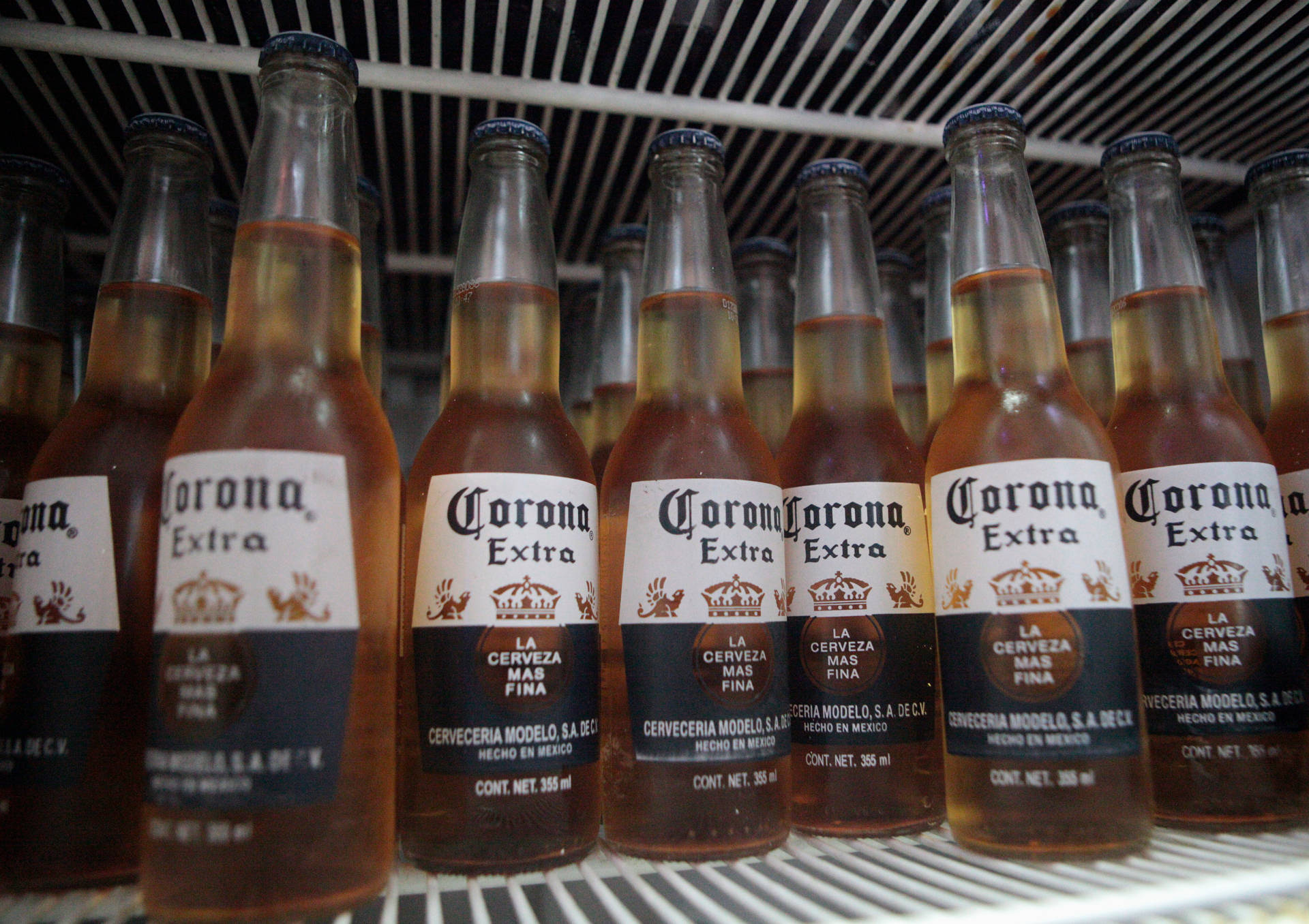 Corona Extra Mexican Beer Background