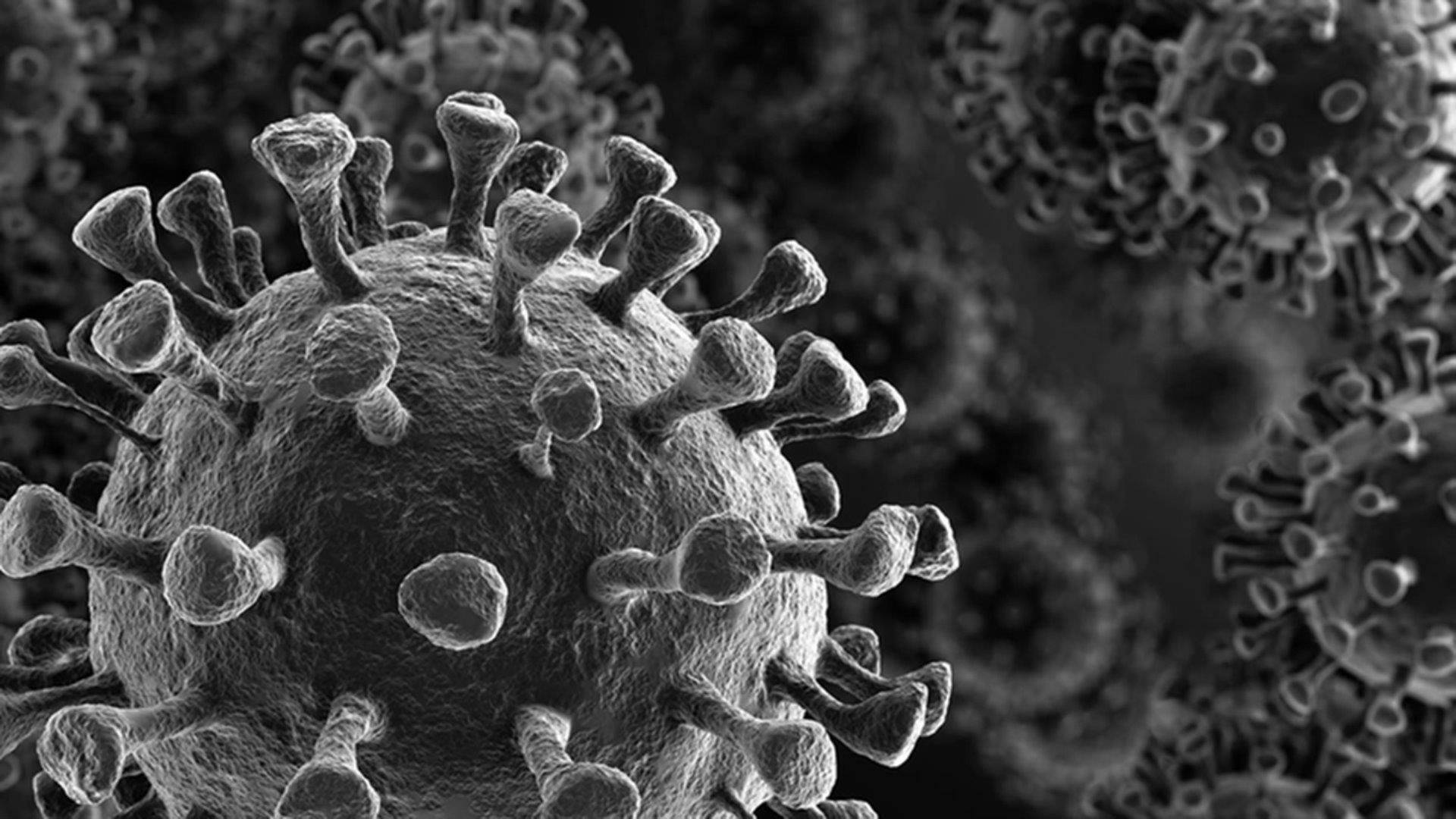 Coronavirus Greyscale Visual Background