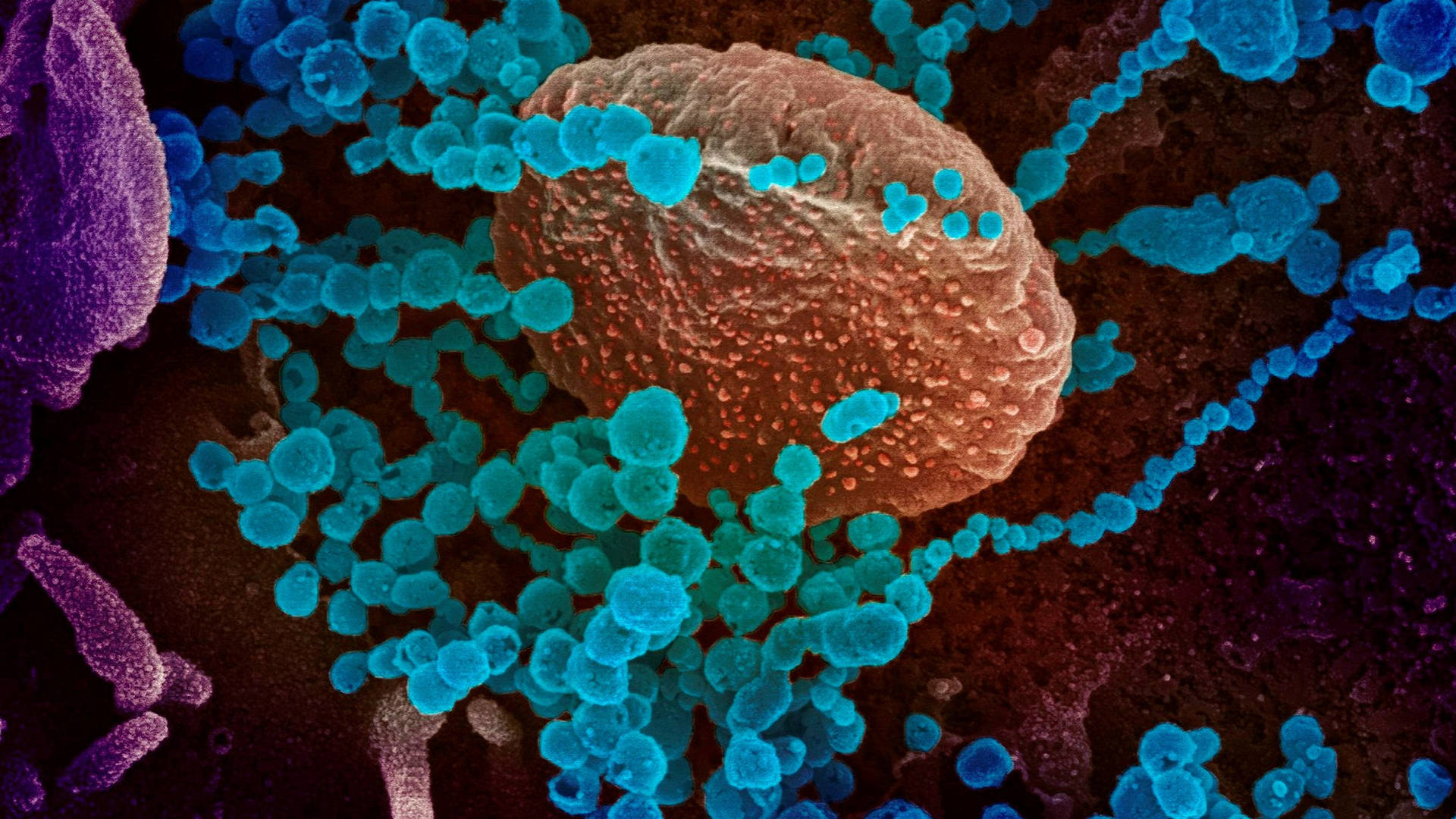 Coronavirus Variant Visual Background