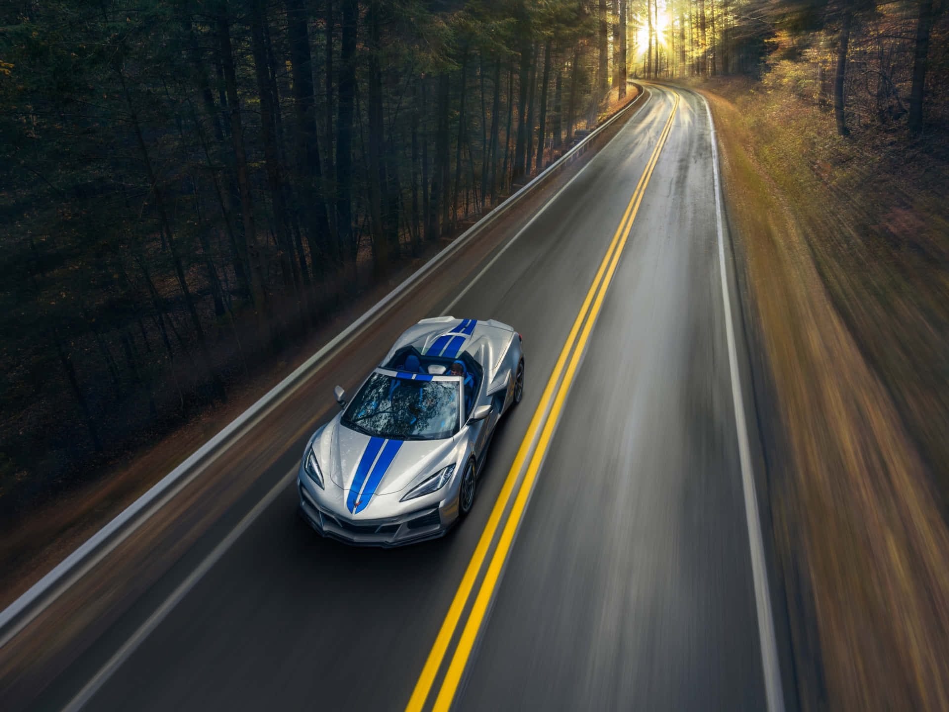 Corvette C8 Speeding Through Forest Road Background