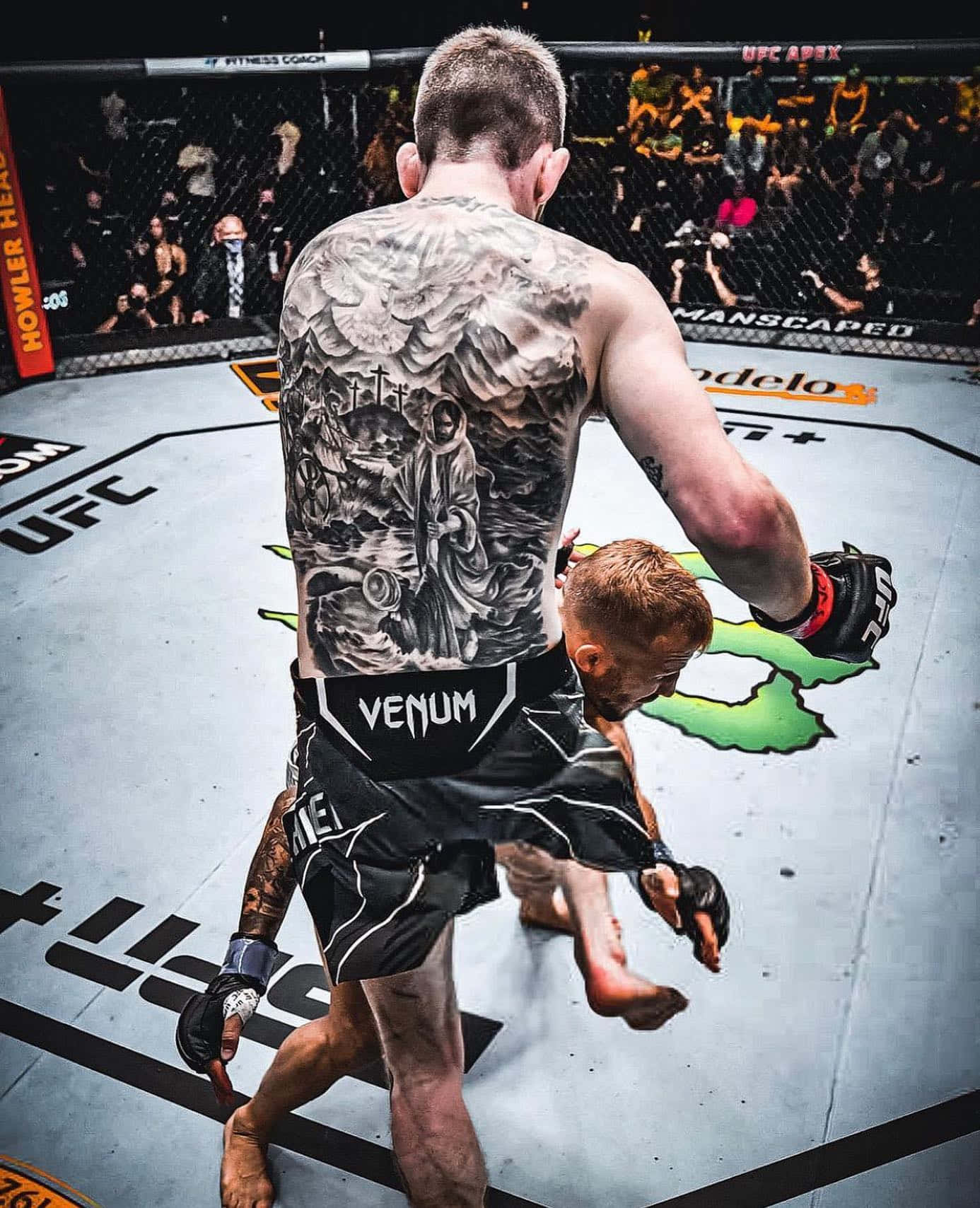 Cory Sandhagen Hitting Opponent With Knee Background