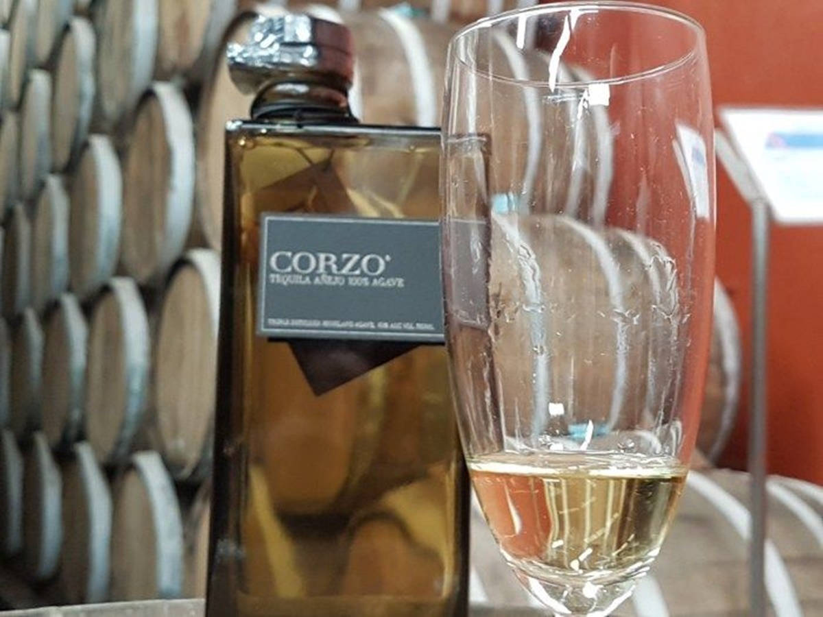 Corzo Anejo Tequila Glass Background