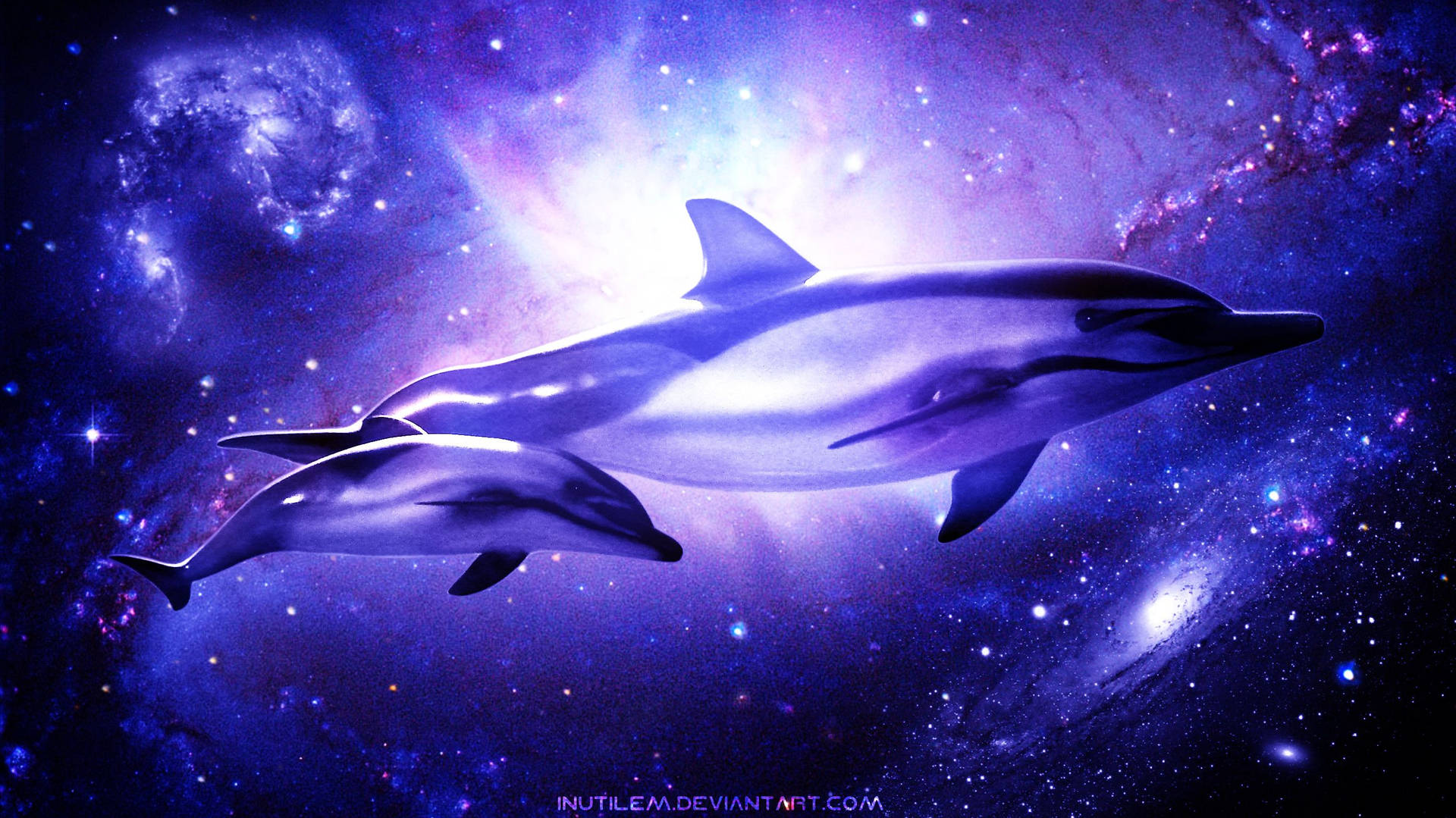 Cosmic Dolphin Galaxy Background