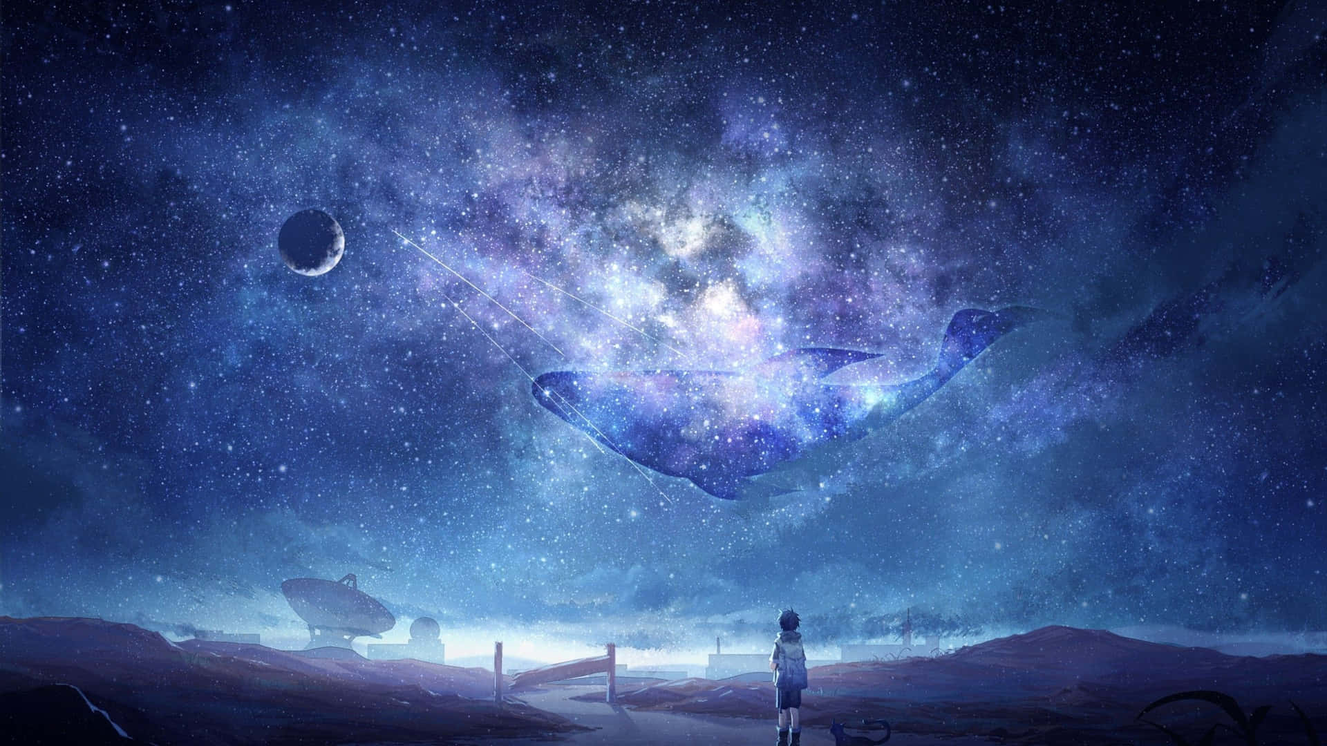 Cosmic_ Whale_ Encounter_2560x1440 Background