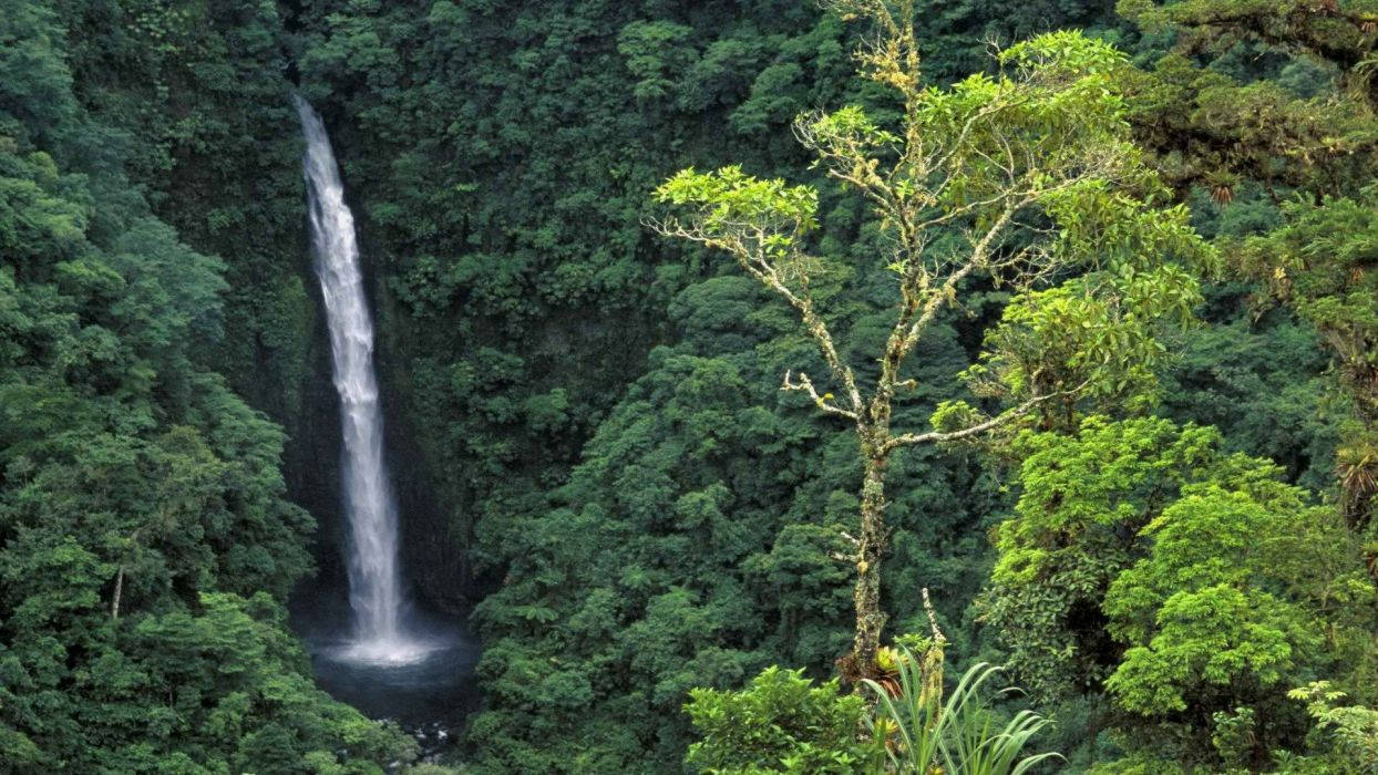 Costa Rica La Fortuna Waterfall Background