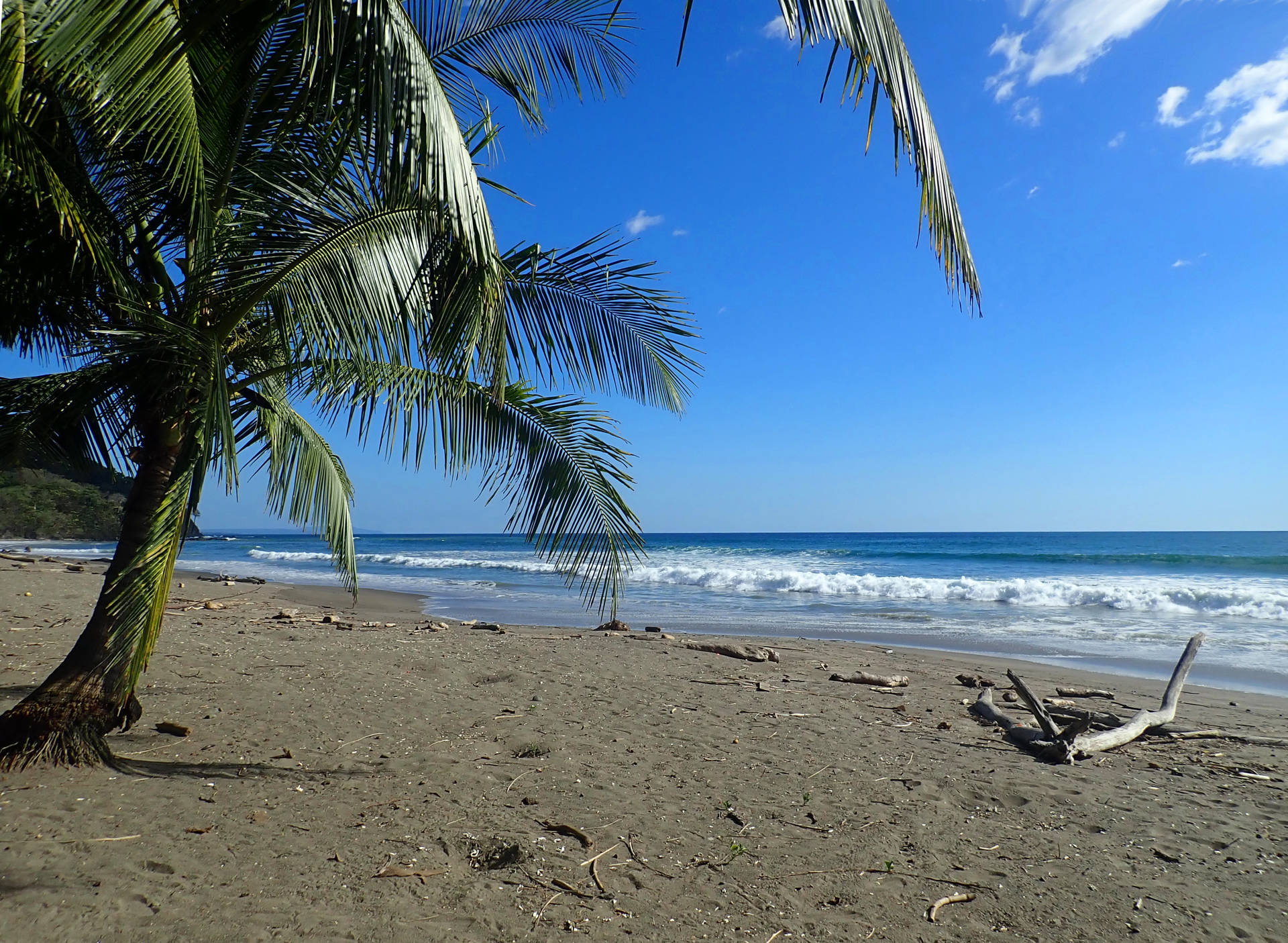 Costa Rica Matapalo Shore Background