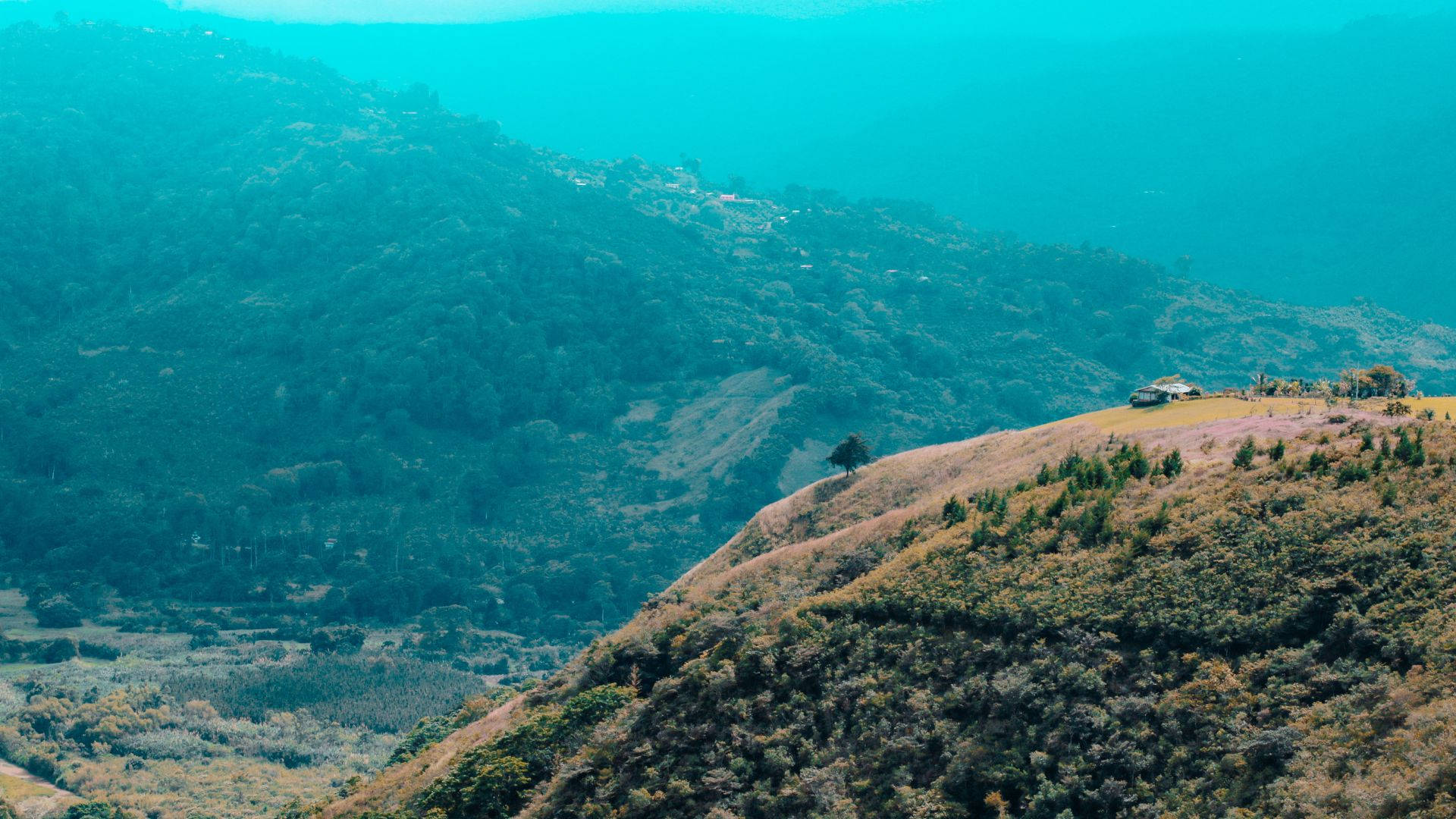 Costa Rica Mountain Slope Background