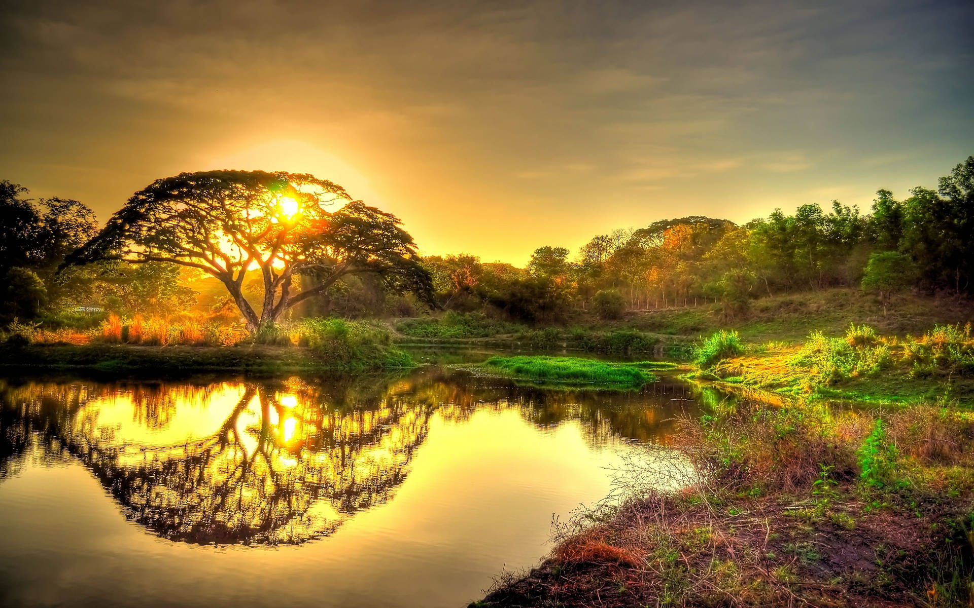 Costa Rica Natural Landscape