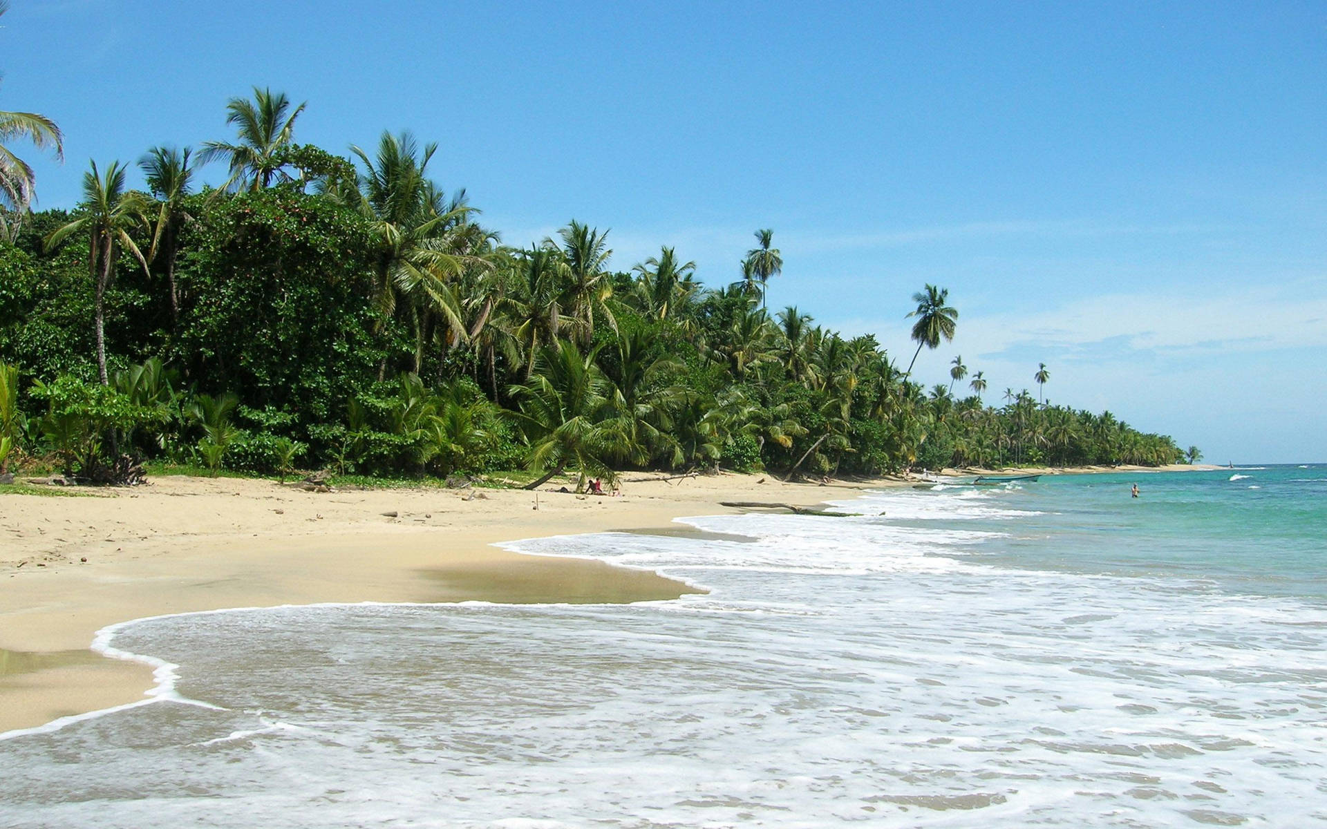 Costa Rica Playa Punta Uva Background