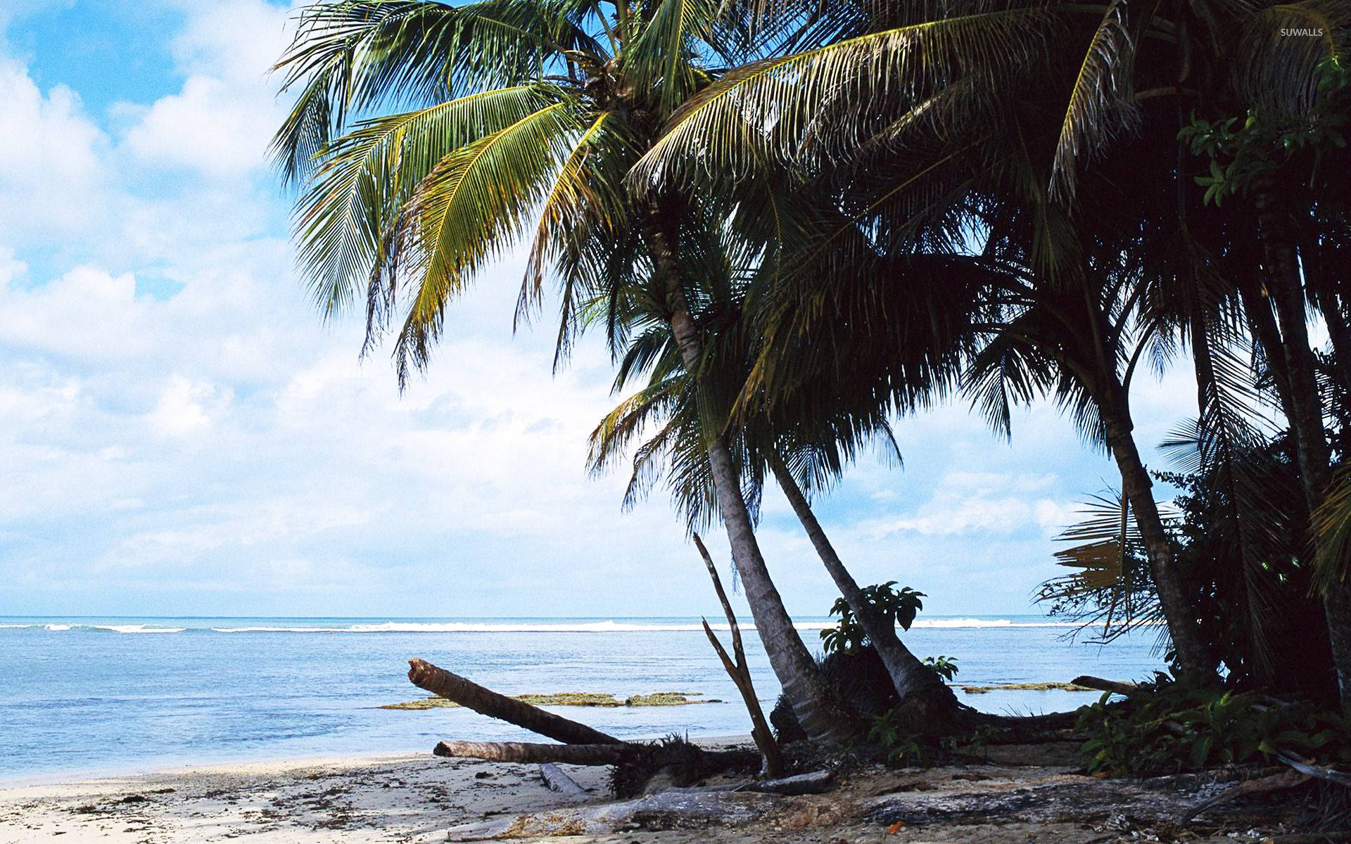 Costa Rica Puerto Viejo Background