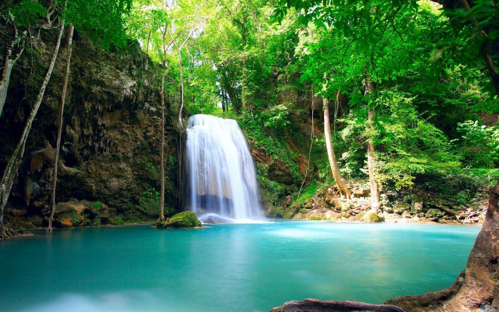 Costa Rica Tropical Waterfall Background