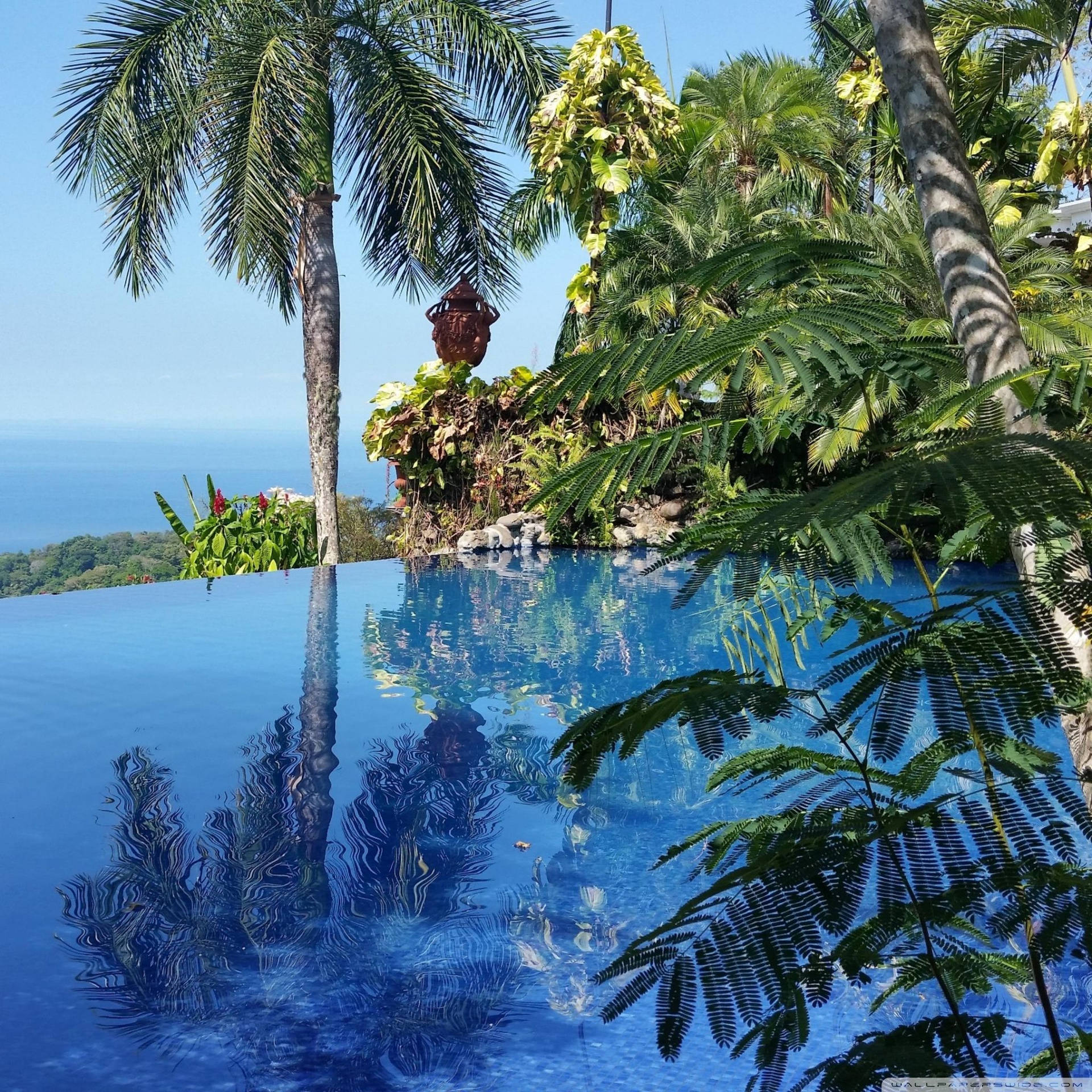 Costa Rica Villa Caletas Pool Background