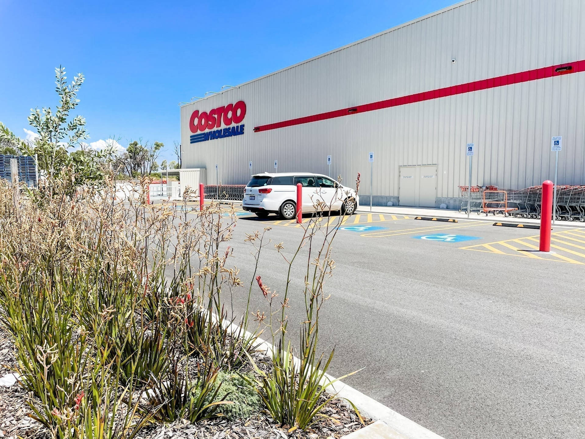 Costco Wholesale Warehouse Background