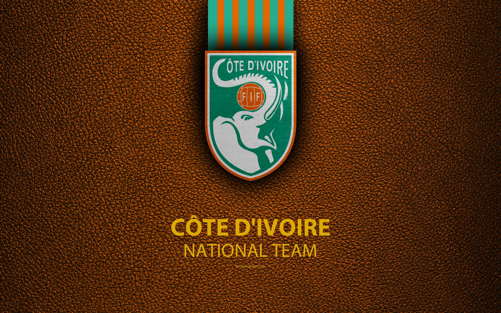 Cote D'ivoire Ivory Coast Team Background