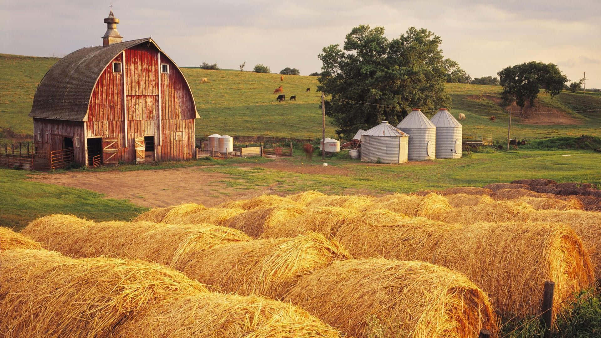 Country Desktop [wallpaper] Background