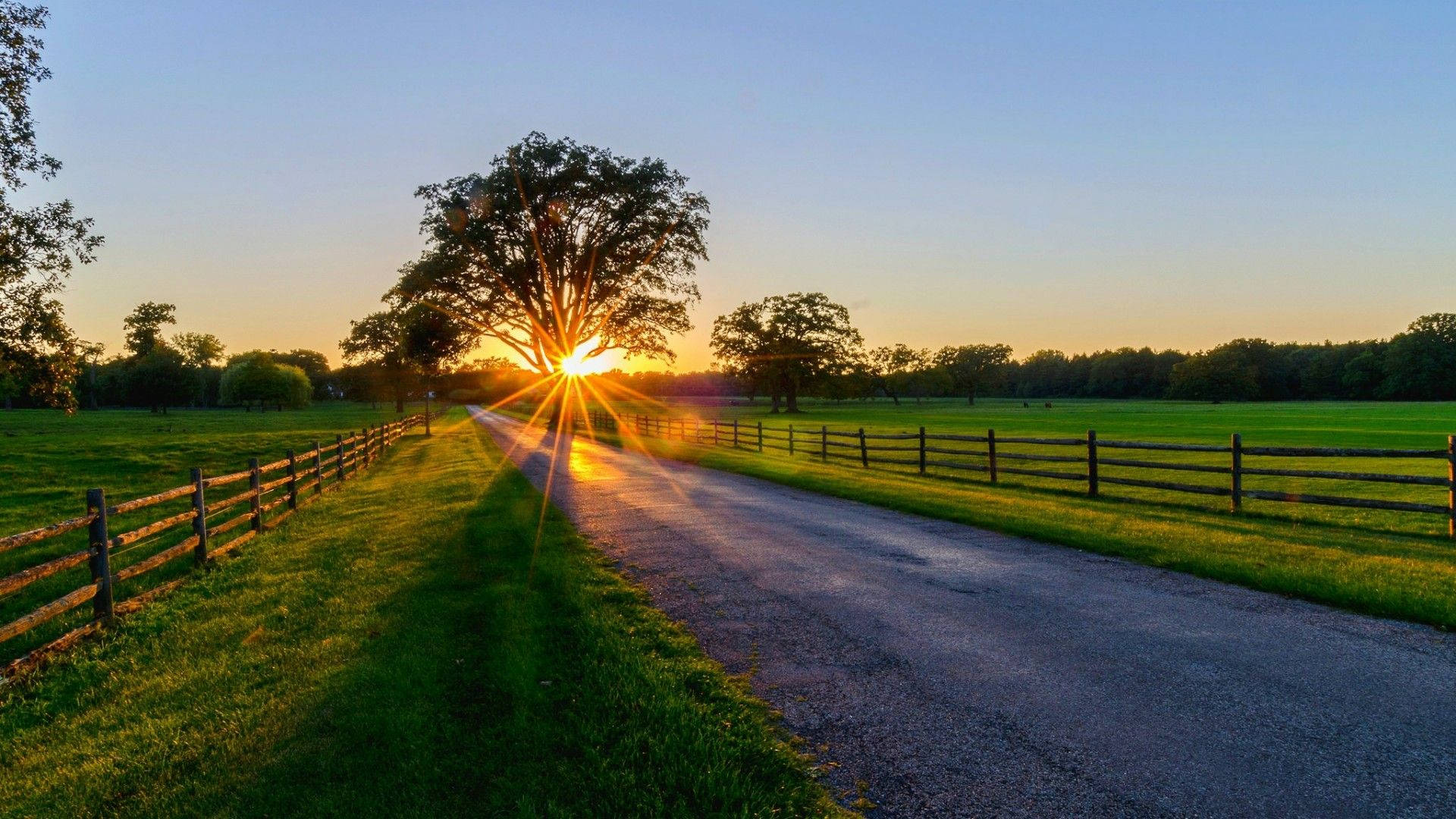 Country Farm Road Sunrise Background