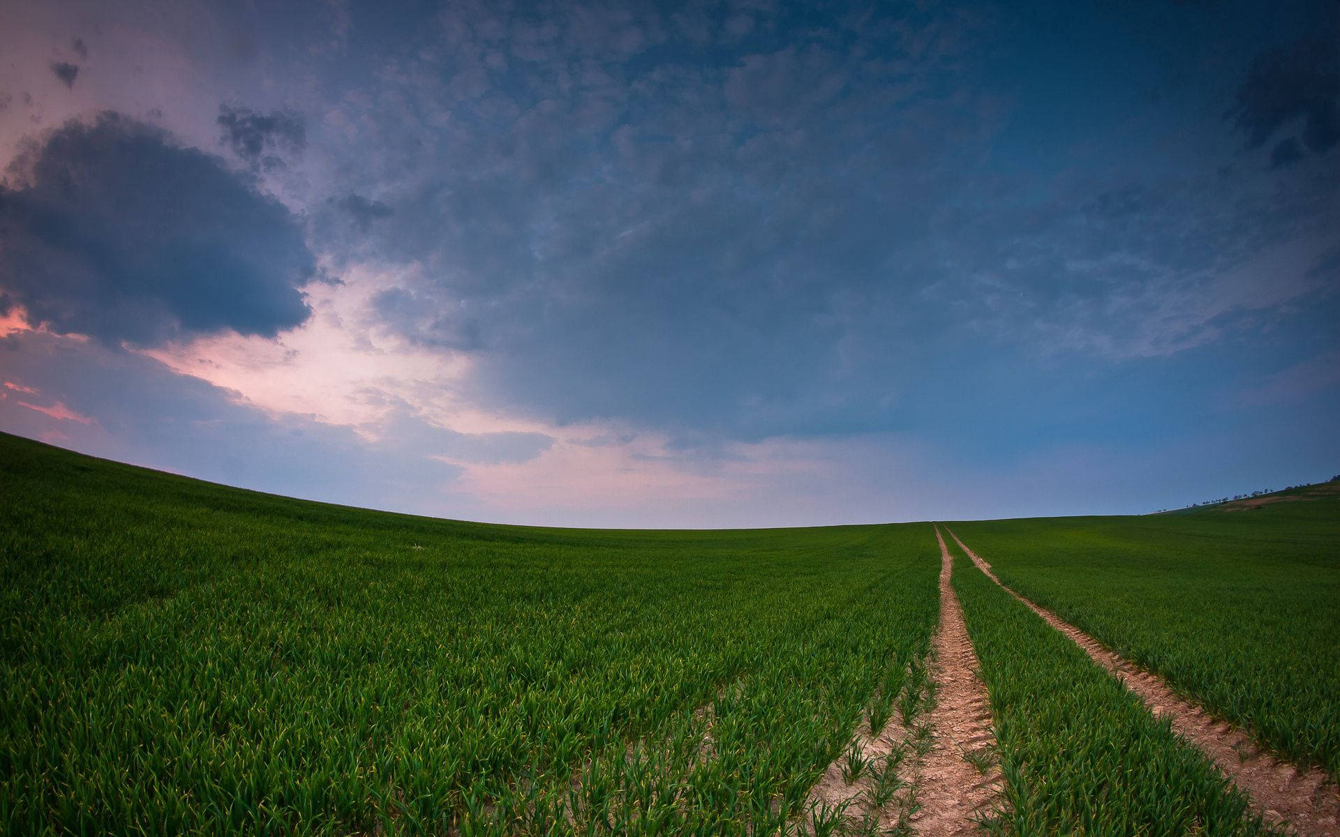 Country Grass Field Panorama Background