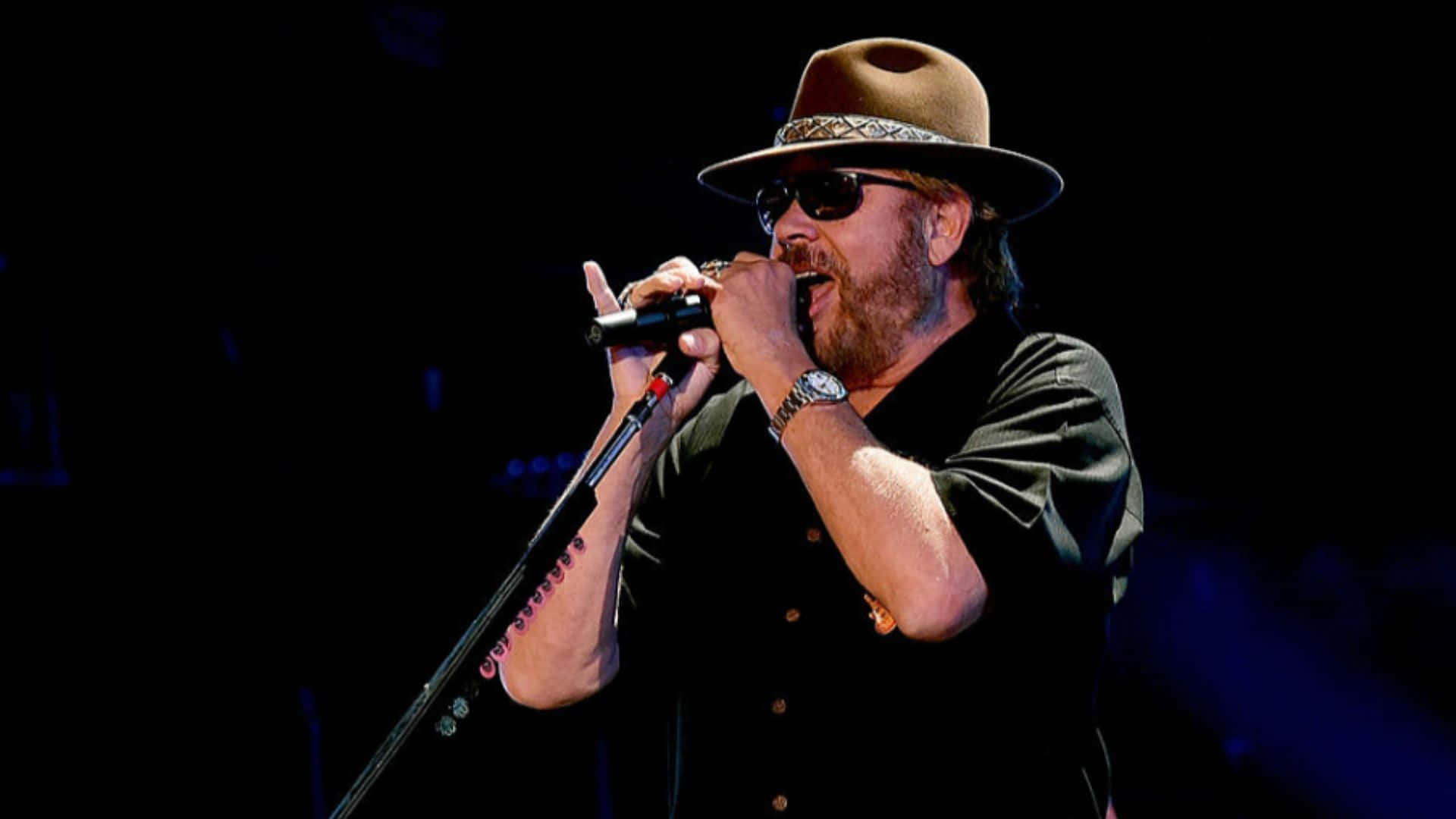 Country Music Singer & Songwriter, Hank Williams Jr Background