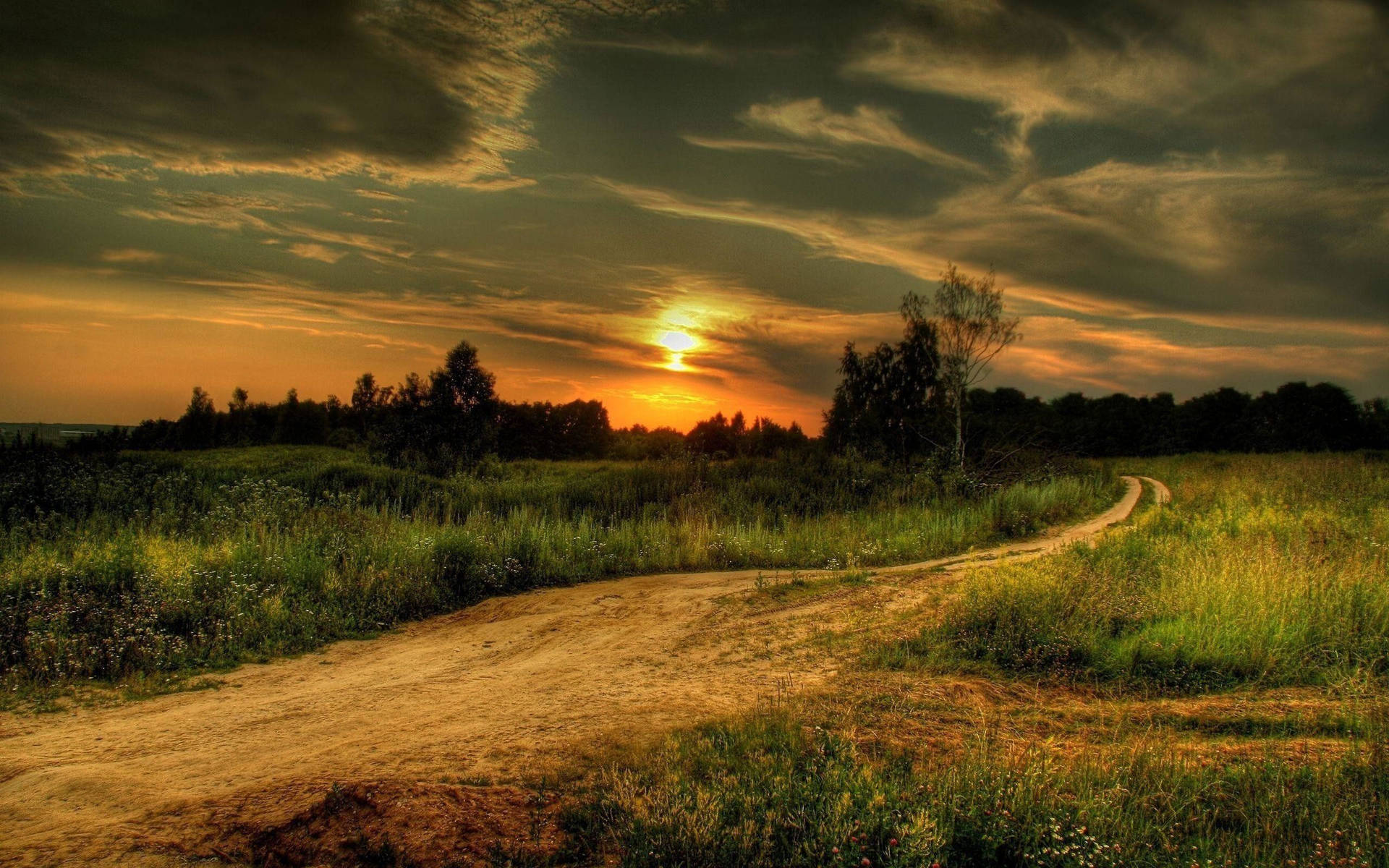Country Road Beaten Path Background