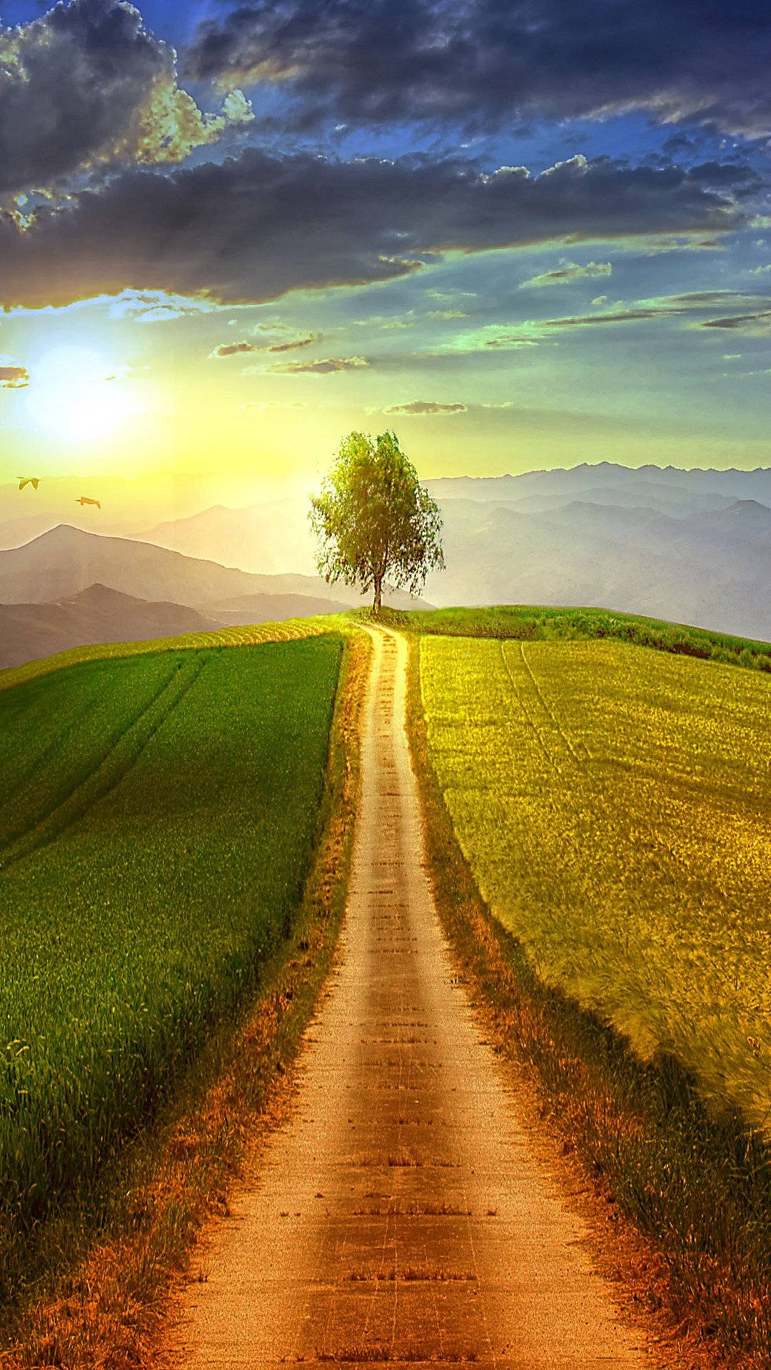 Country Road Digital Rendering Rice Fields Background