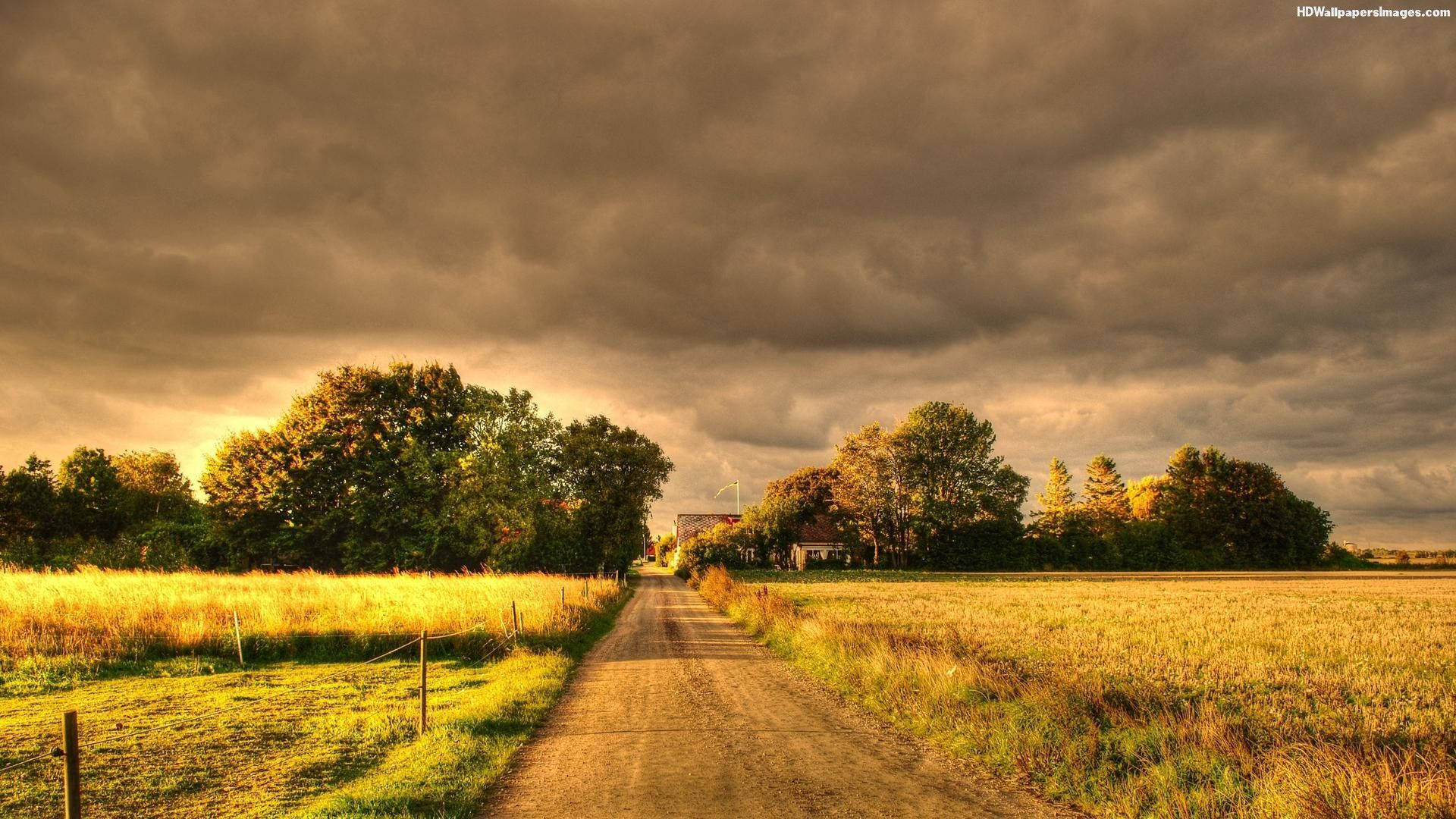 Country Road Landscape Photograph Background
