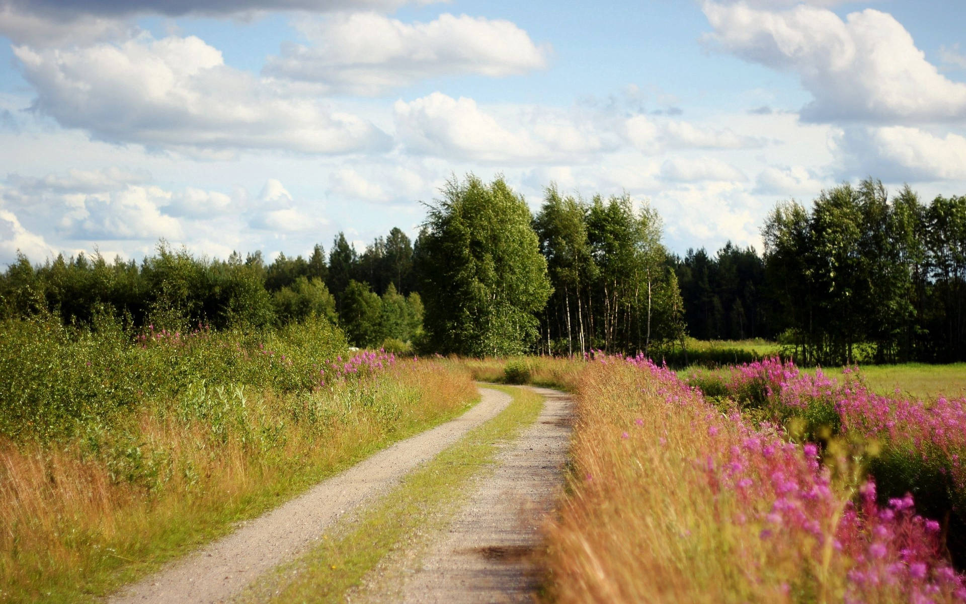 Country Road Trees And Flowers Background